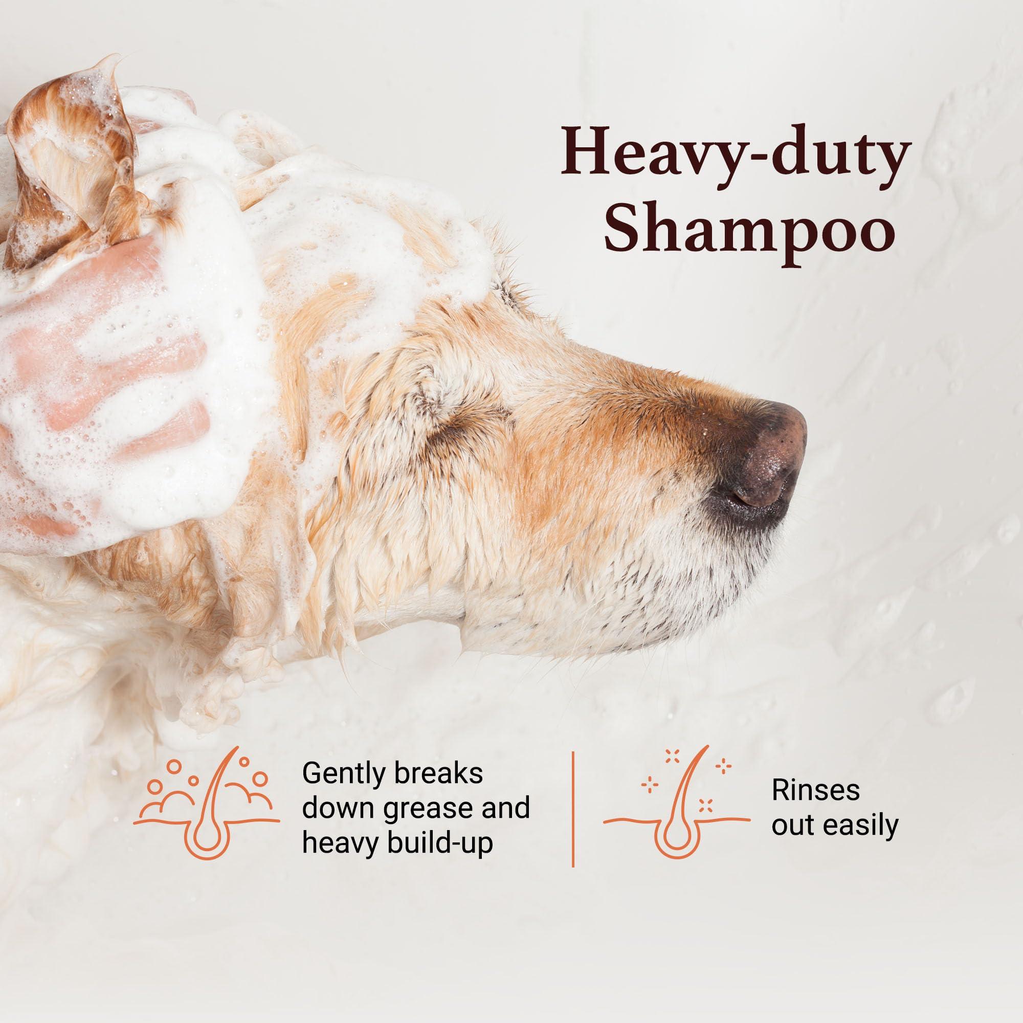 iGroom Squeaky Clean Dog Shampoo, Luxury Pet Beauty Care, Intense Cleaning Power, Chamomile Extracts Sooth Skin, Made in USA (1 GAL) - Image 3