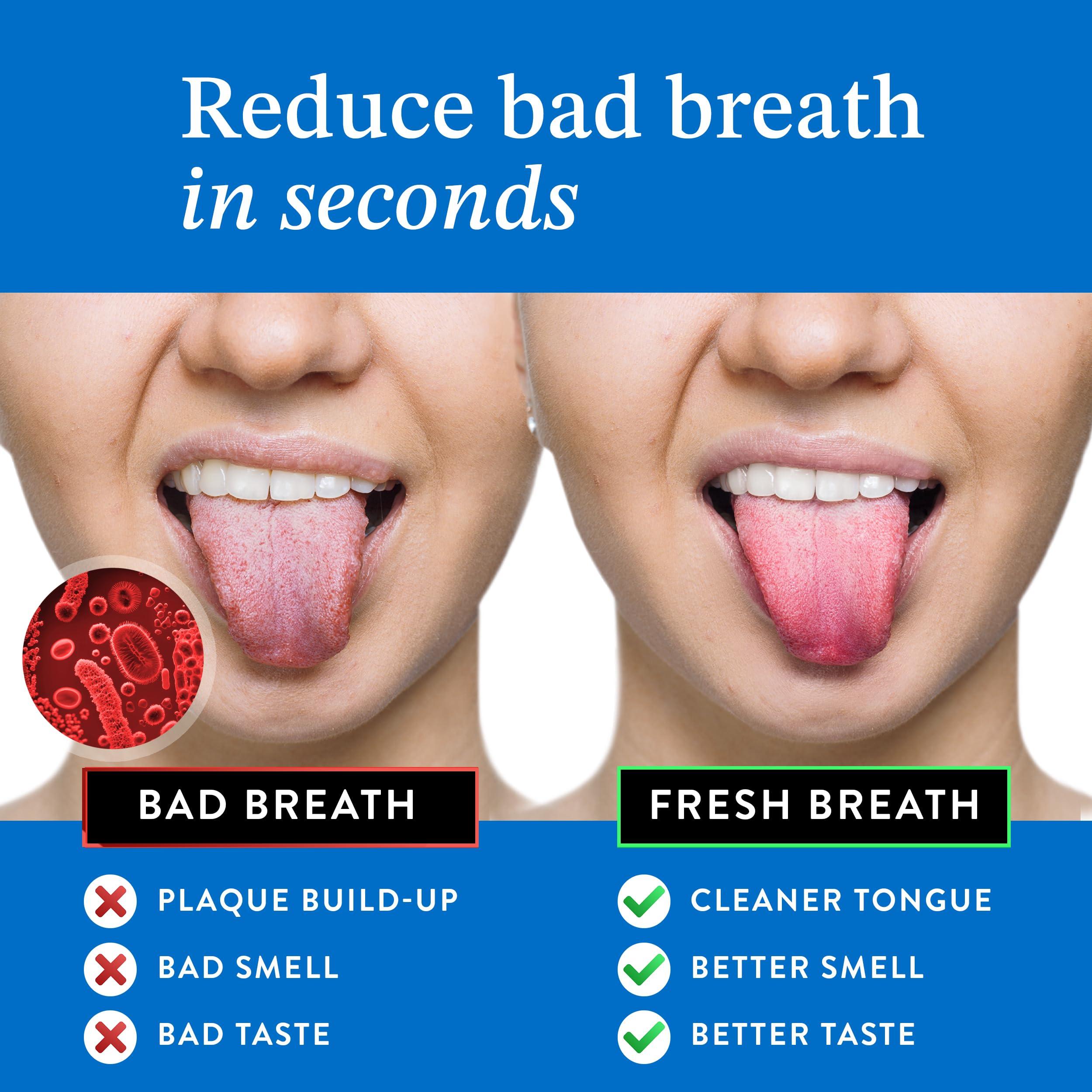 Mouthology Tongue Scraper for Adults (2 Pack), Reduce Bad Breath, Metal Tongue Scraper, Tongue Cleaner, Tongue Scraper, Stainless Steel Tongue Scraper, Tongue Cleaner for Adults, Tongue Scrubber - Image 2
