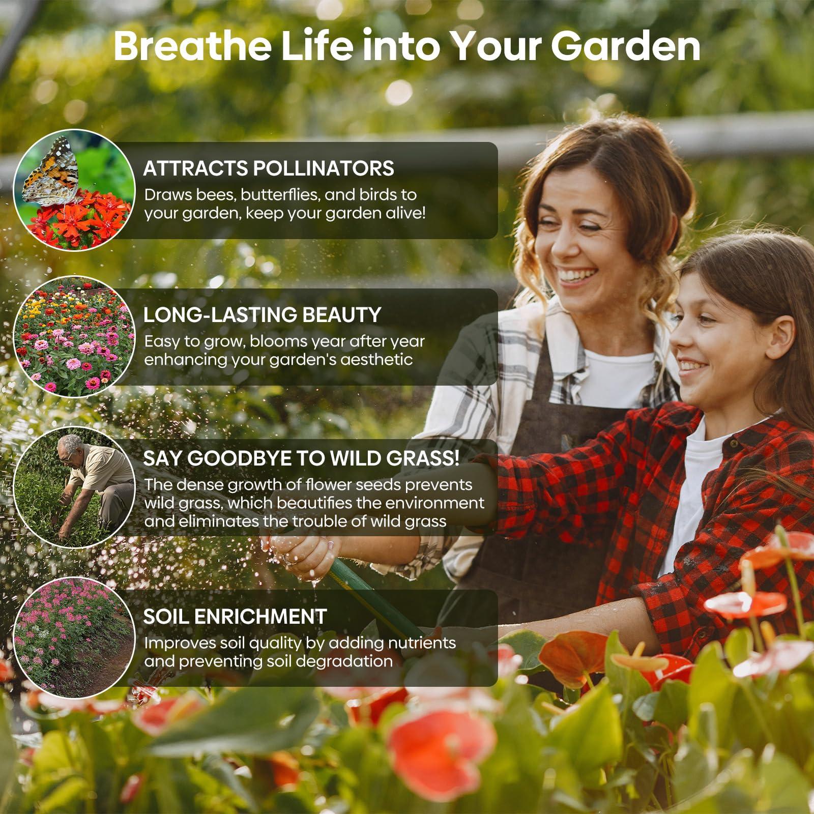 Wildflower Seeds Hummingbird and Butterfly Mix 1 Ounce, No Filler, 24 Varieties Flowers Seeds to Plant Outside, Annual Perennial, Bulk Resealable Package - Image 4