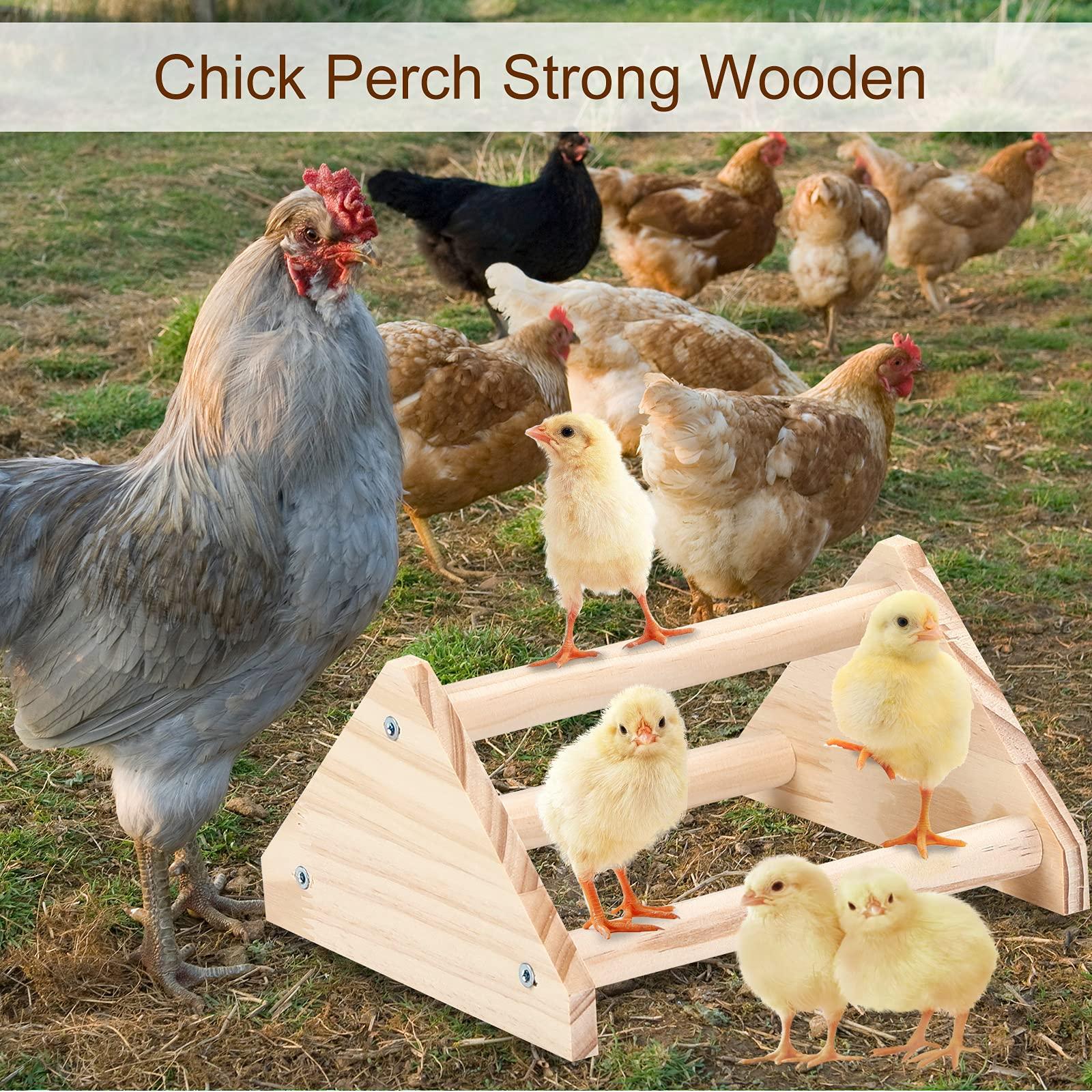 GINTUTO Chicken Perch Strong Pine Wooden Chick Jungle Gym Roosting Bar, Chick Perch Toys for Coop and Brooder for Large Bird Baby Chicks Parrot (Small) - Image 6