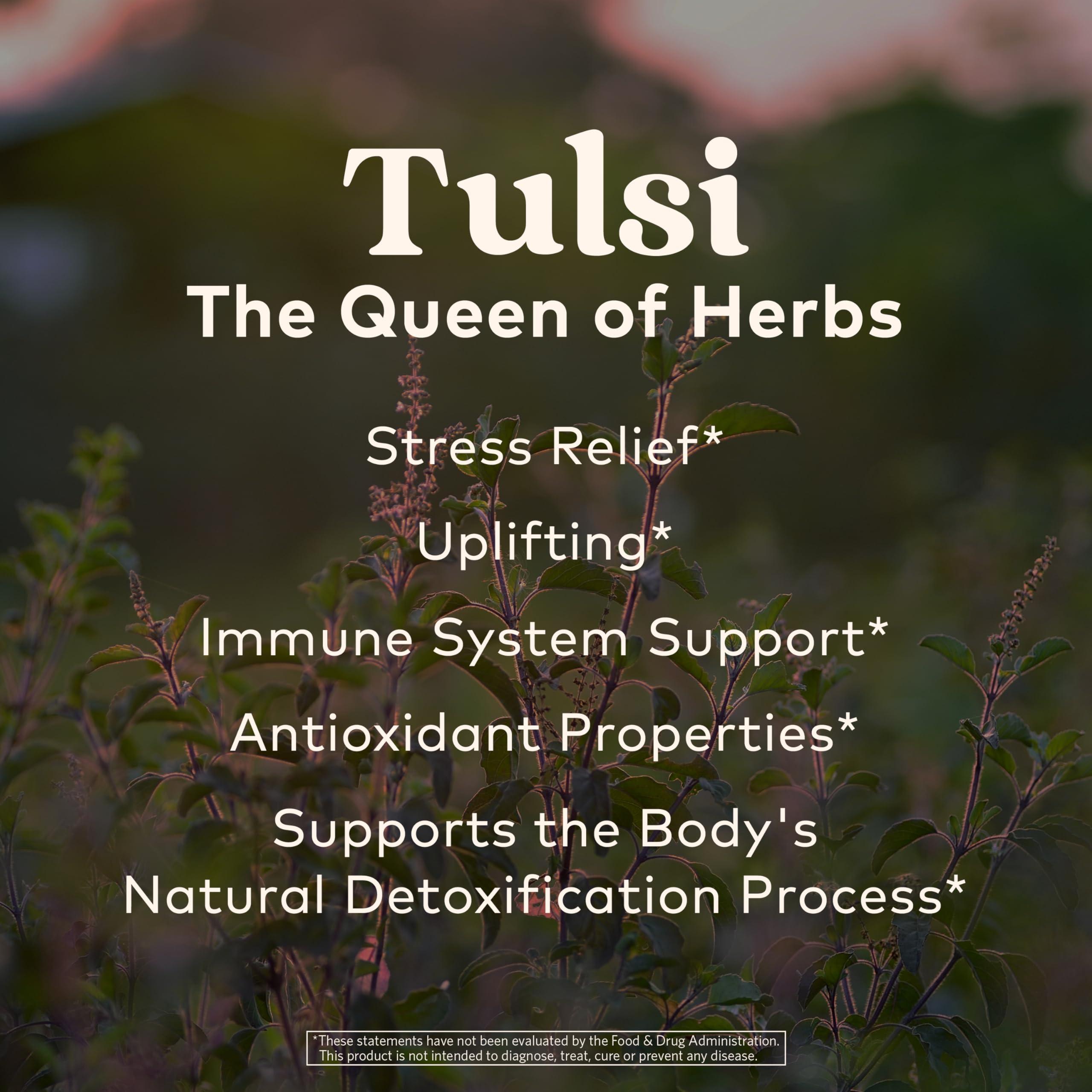 ORGANIC INDIA Tulsi Sweet Rose Herbal Tea - Holy Basil Leaf, African Basil, Chamomilie, Lemon Myrtle, Stress Relieving, Immune Support, USDA Certified Organic, Caffeine-Free - 3.5 oz Canister - Image 3