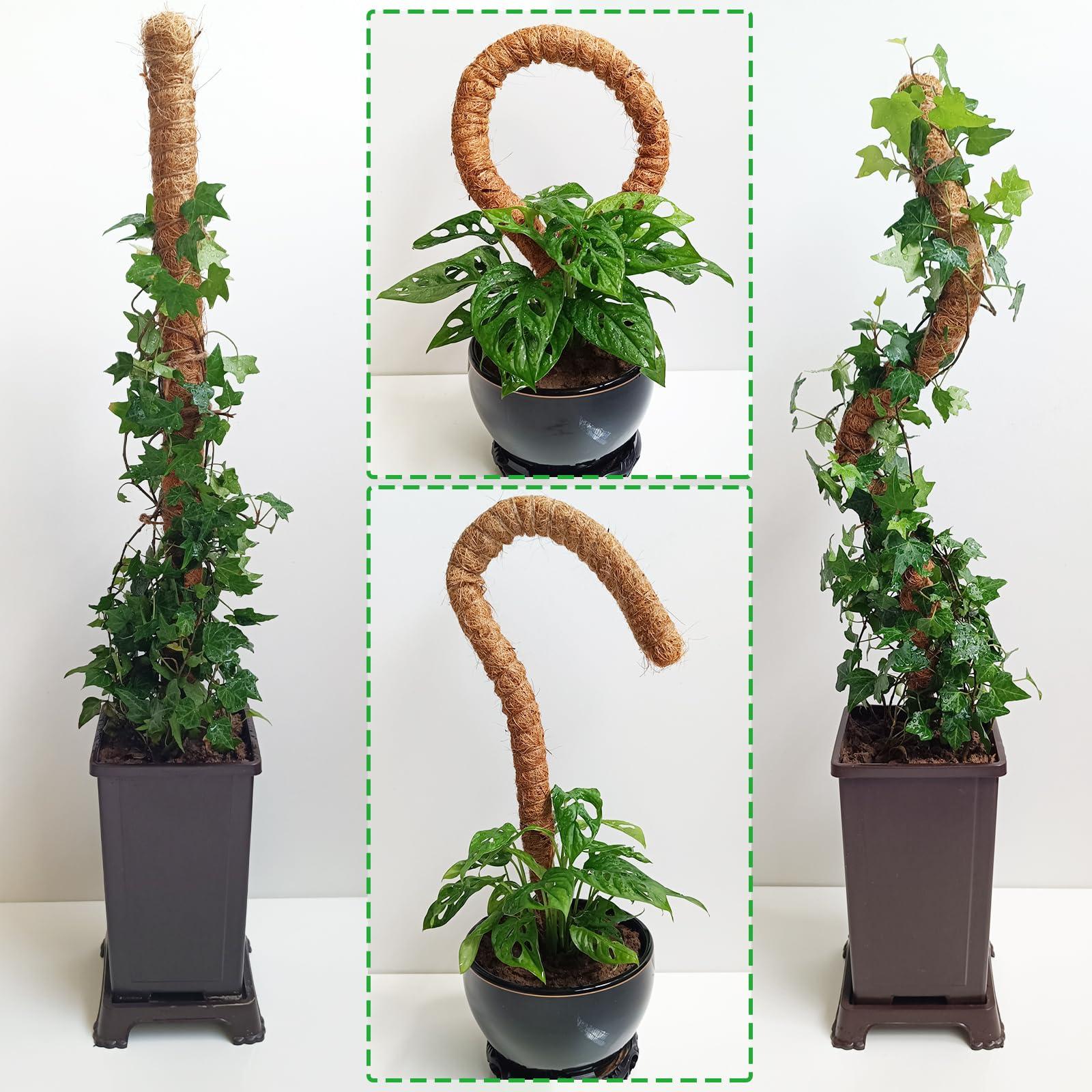 2 Pack Moss Pole, 28 Inch Bendable Moss Pole for Plants Monstera, Moss Poles for Climbing Plants Indoor, Coir Plant Pole Sticks Support Stakes for Potted Plant, Pothos, Philodendron - Image 2