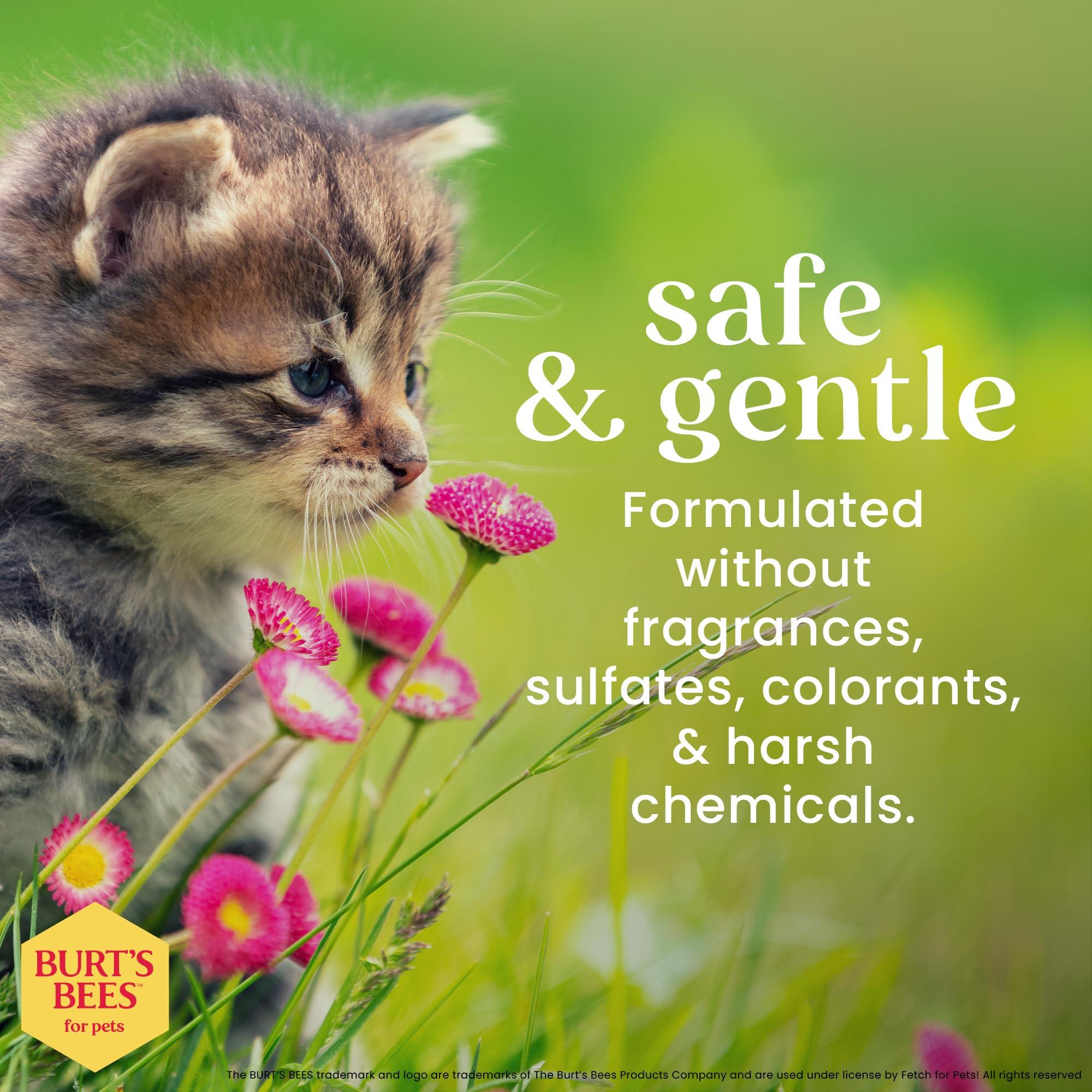 Burt's Bees for Pets Tearless Kitten Shampoo with Buttermilk, 99.3% Natural Origin Formulas, Pet Shampoo for Cats, Gentle Cat Shampoo, Cat Shampoo for Itchy Skin, 10 oz - Image 5