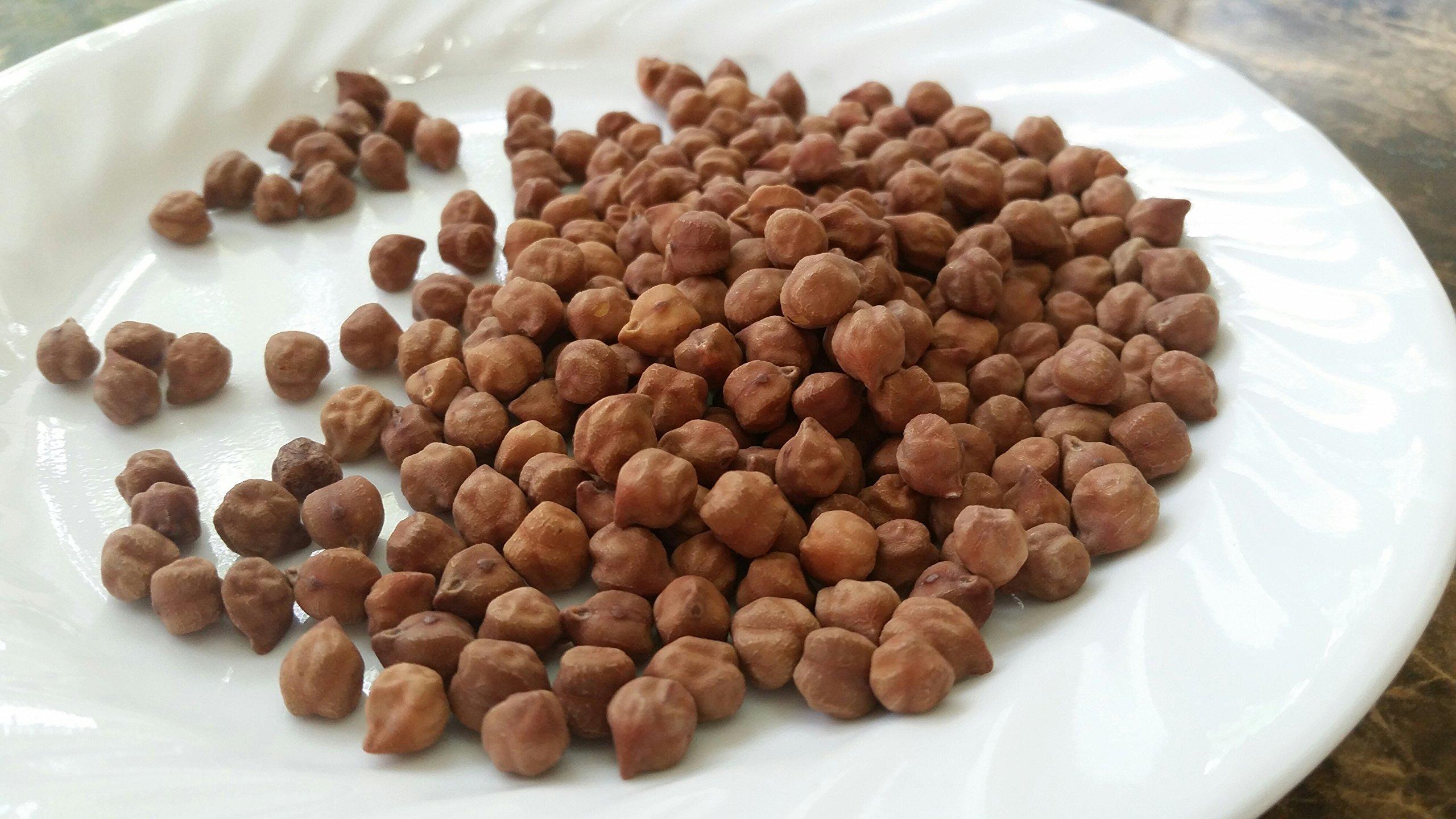 Jiva Organics Organic Kala Chana 2 Pound Bulk Bag - Black Gram, Desi Black Chickpeas, 100% Natural & Non-GMO - Image 3