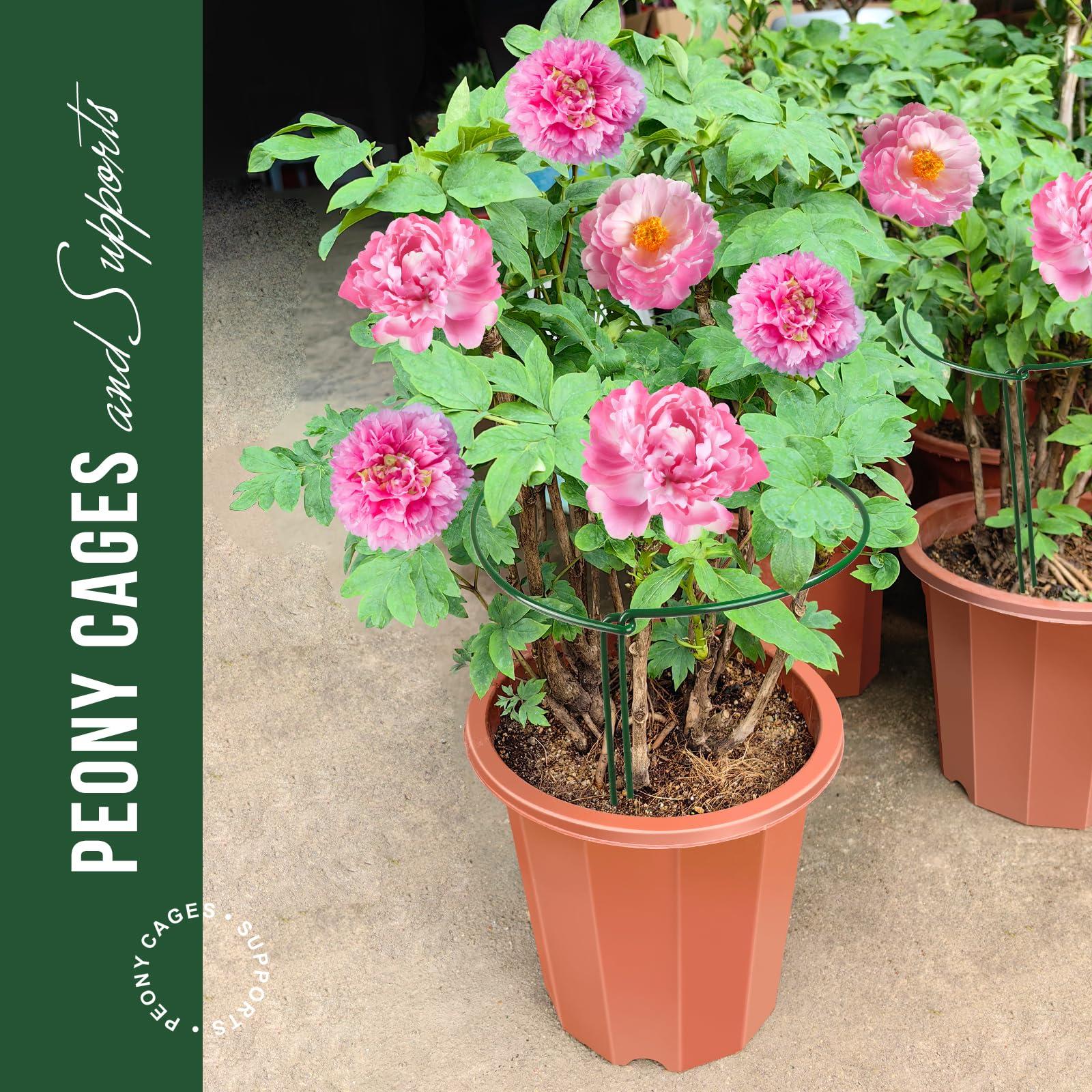 LEOBRO Plant Support Stakes, 4 PCS Plant Stakes, Plant Support, Peony Cages and Supports, Garden Stakes, Plant Stakes for Indoor Outdoor Plants, Hydrangea Support Cage, 10" W x 15.8" H - Image 2