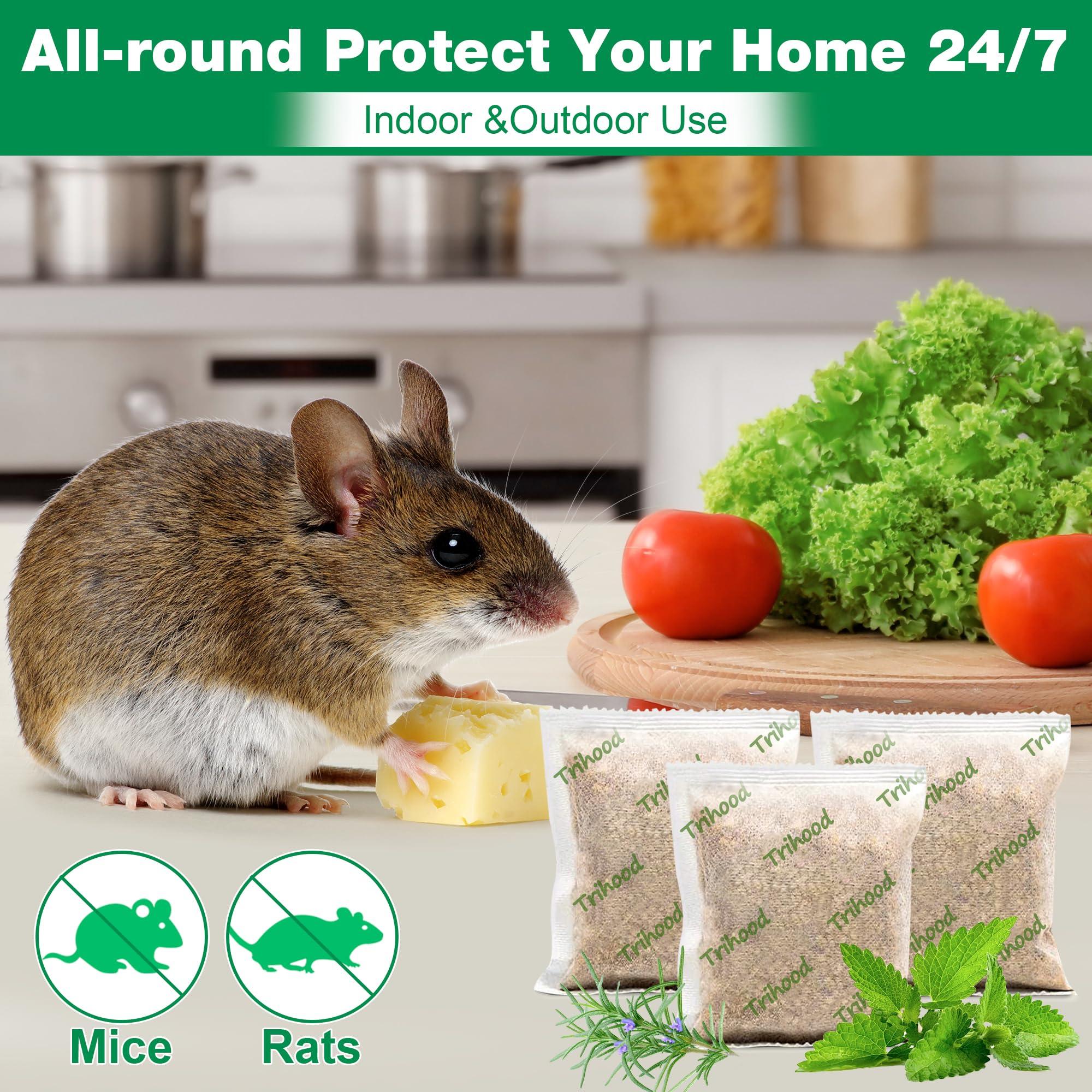 12Pack Natural Raccoon Repellent Pouches, Skunk Repellent Pouches for Outdoor Yard Garden House | Long-Lasting Protection | Safe for Dogs and Children - Image 5