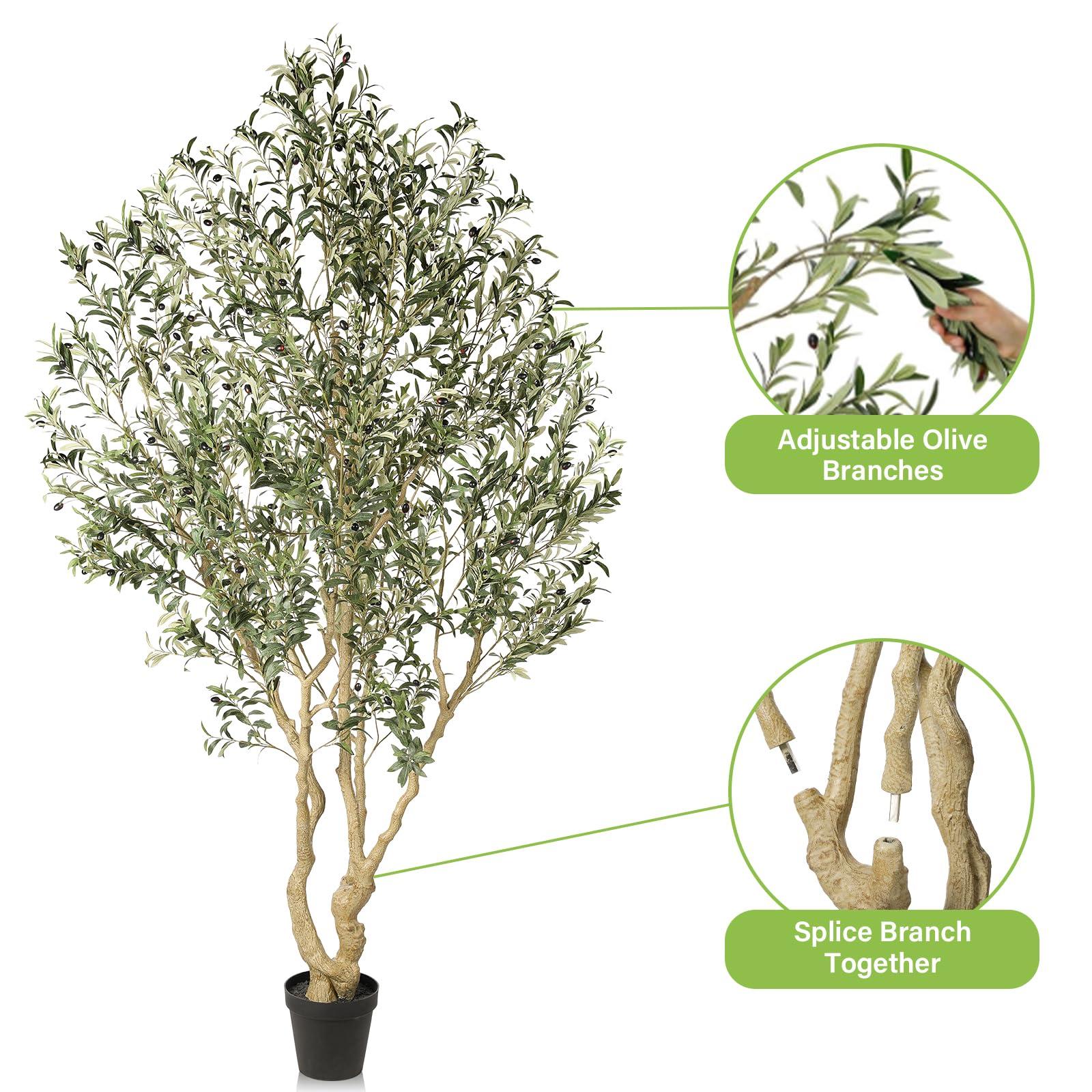 Realead Artificial Olive Tree 8ft - Large Faux Olive Tree with Realistic Leaves and Olives - Full and Grand Design Fake Olive Tree with Sturdy Base for Indoor Outdoor Office Decor - Image 7