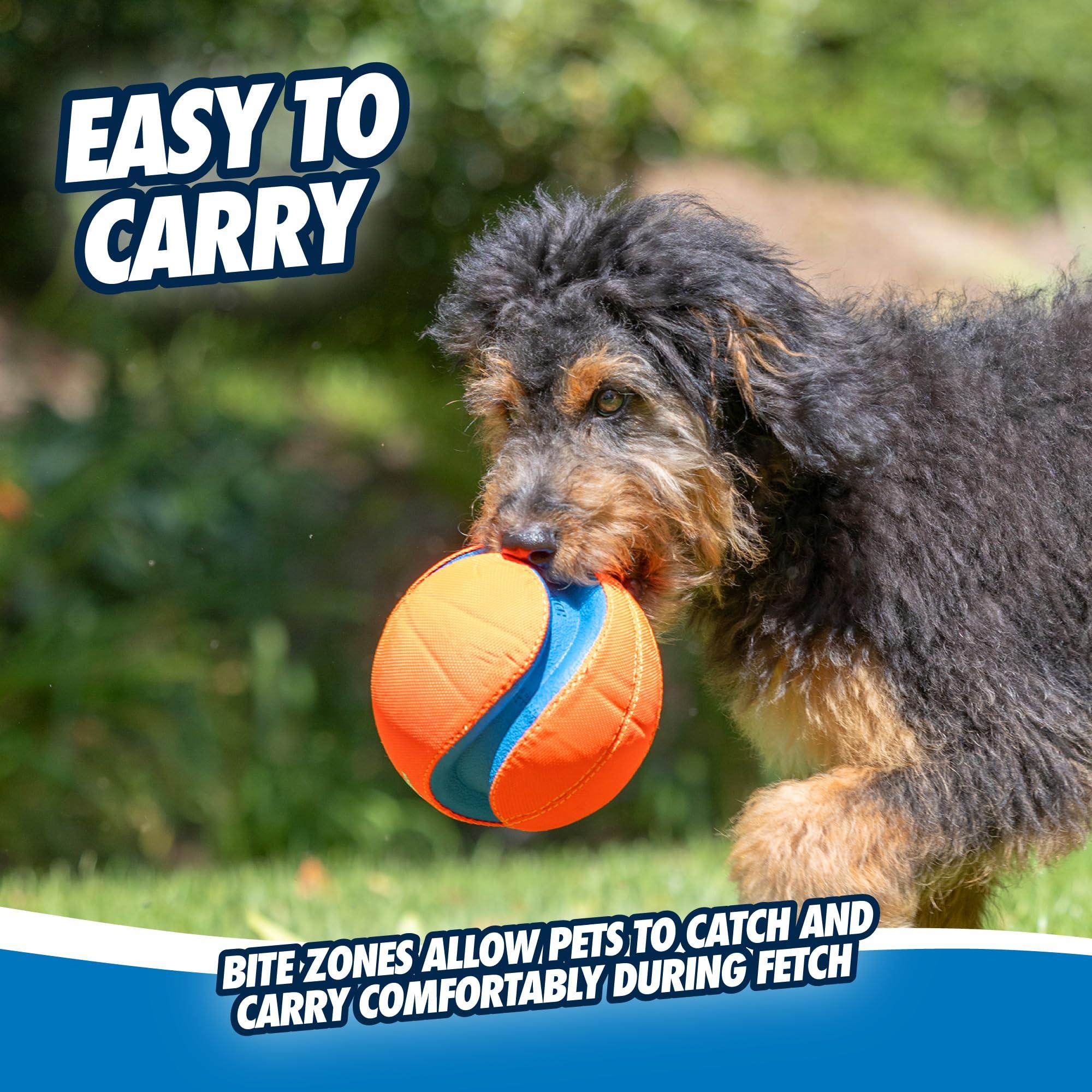 Chuckit! Kick Fetch Ball Dog Toy - Floats in Water - Perfect for Interactive Play - Made with Durable Rubber and Foam - For Large Dogs - Size Large - 8-inch Diameter - Pack of 1 - Image 6