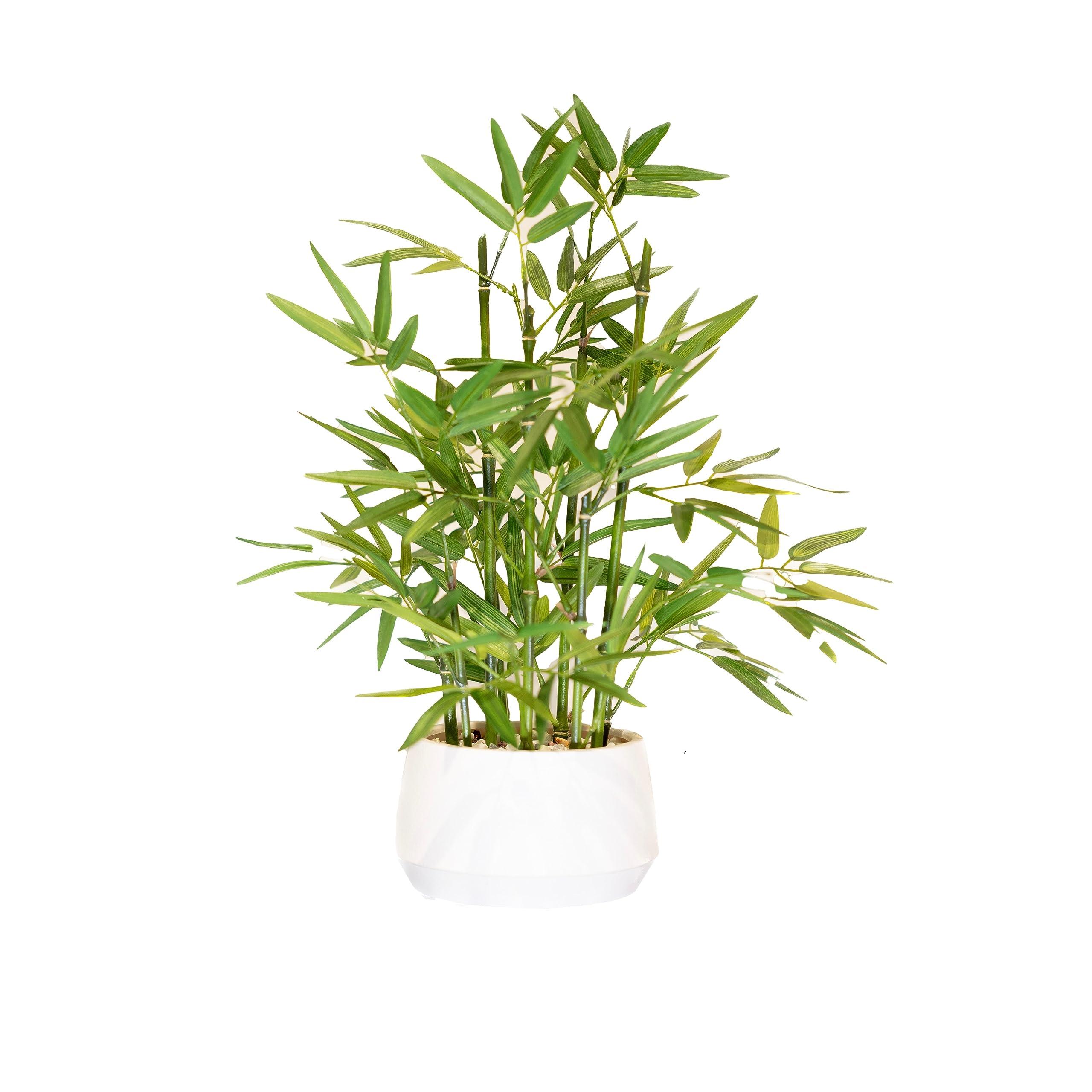 365 Blooming Decor 18 Inch Tall White Potted Faux Bamboo Plant - Luxury Artificial Bamboo in White Pot for Home, Office, Kitchen, Counter Top, Indoor Decor, Money Tree, Lucky Tree