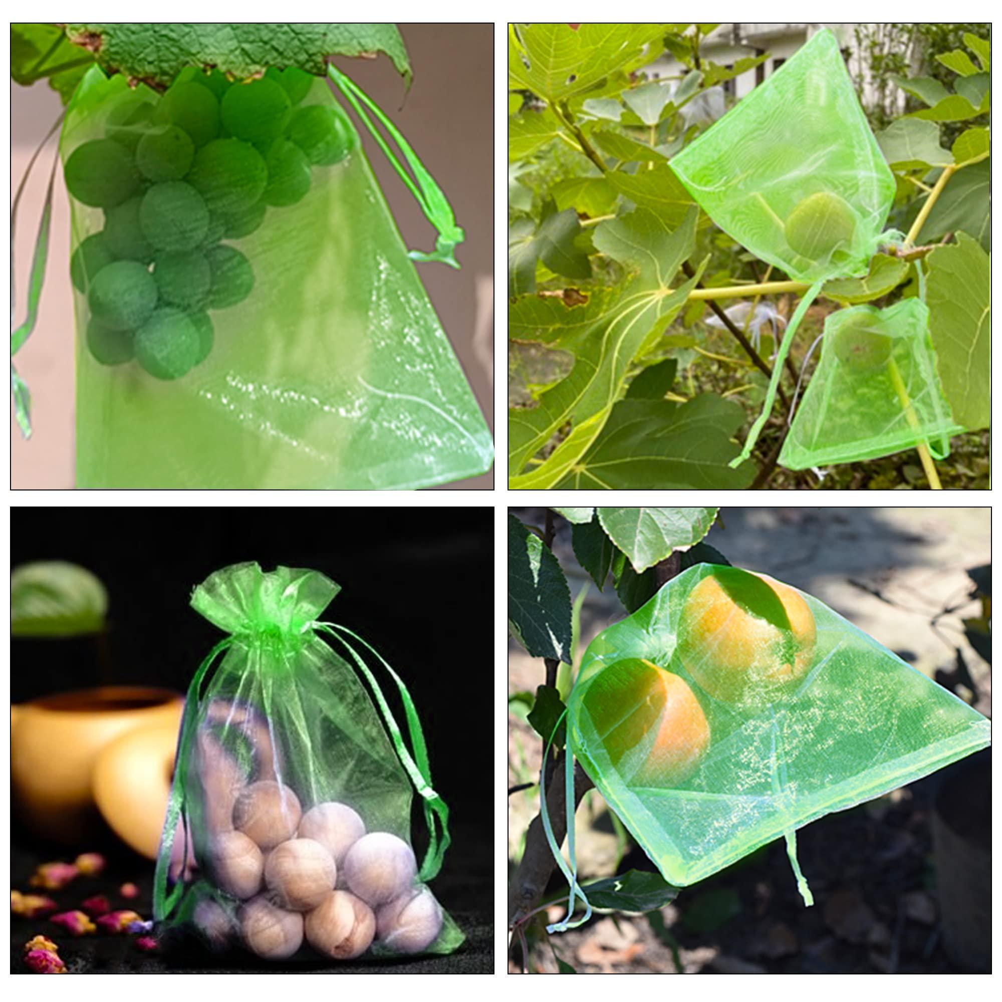 6x8 Inch 100 Pieces Green Fruit Protection Bags- Fruit Netting Bags with Drawstring,Garden Fruit Cover Mesh Bag to Protect Plants from Pest Birds Squirrels - Image 5