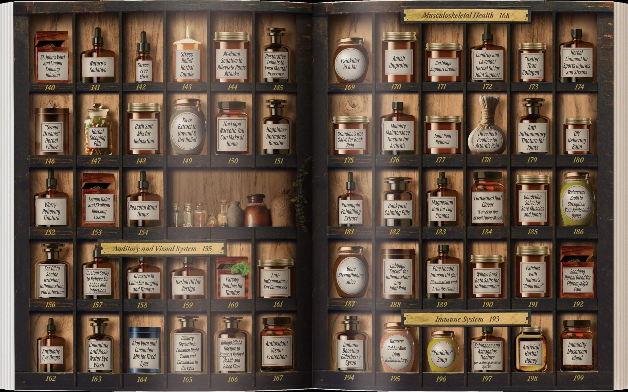 Forgotten Home Apothecary : 250 Powerful Remedies at Your Fingertips - Image 4