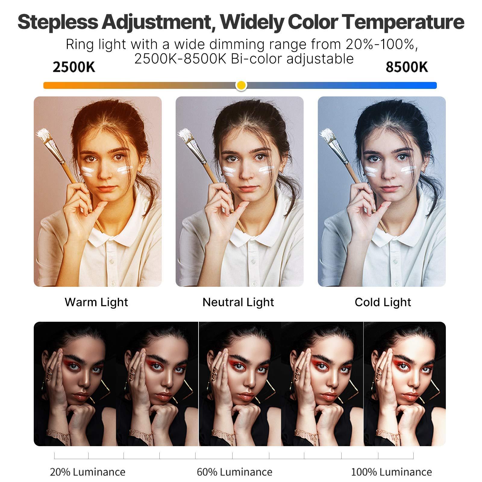 Smartphone Video Rig PICTRON U200 Handheld LED Ring Light Selfie Light Phone Video Stabilizer for Camera, Smartphone, Action Camera, YouTube, Setup, Filmmaking, Makeup, Vlogging - Image 2