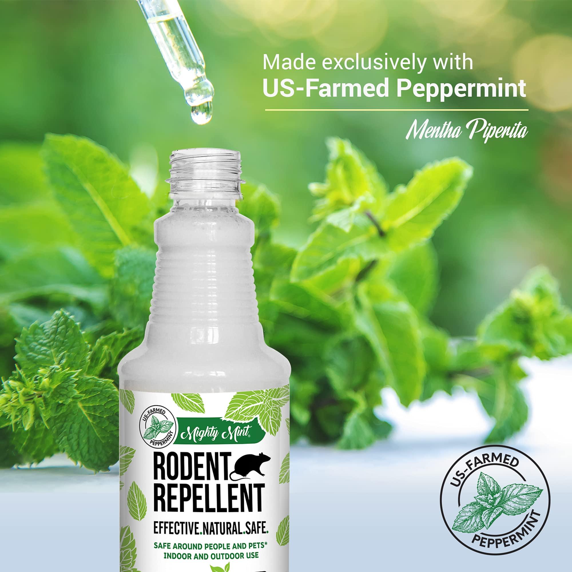 Mighty Mint Mouse Repellent Pouches & Rodent Repellent Spray Bundle - Image 5