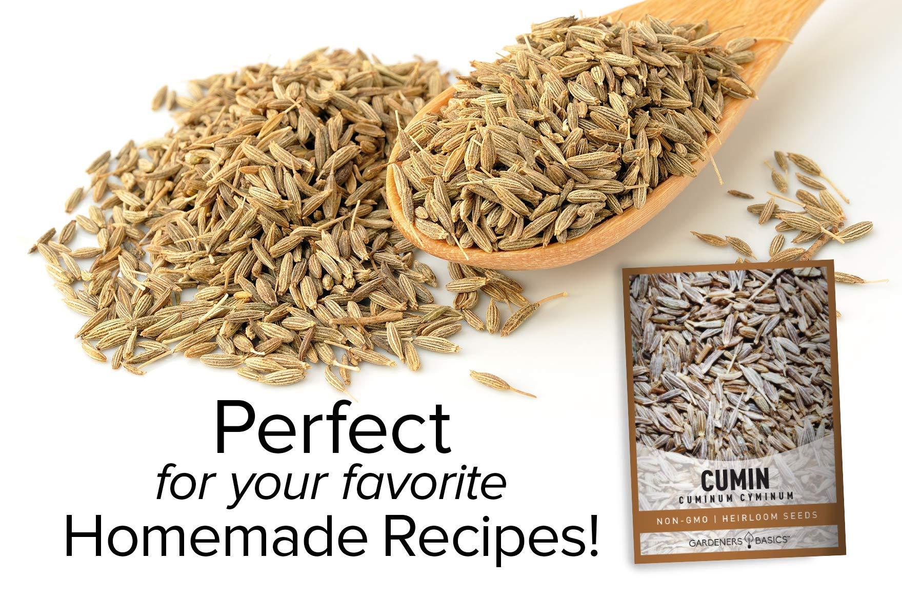 Gardeners Basics, Cumin Seeds for Planting is A Heirloom, Non-GMO Herb Variety- Cuminum Cyminum Herb Seeds Great for Indoor and Outdoor Gardening - Image 5