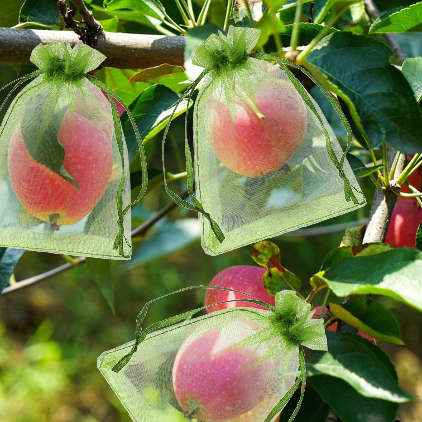100 Pieces Green Fruit Protection Bags Fruit Protection Bags Fruit Netting Bags with Drawstring for Protecting Vegetable Net Cover Reusable Mesh Bag for Garden Apple Trees(15 * 20cm) - Image 2