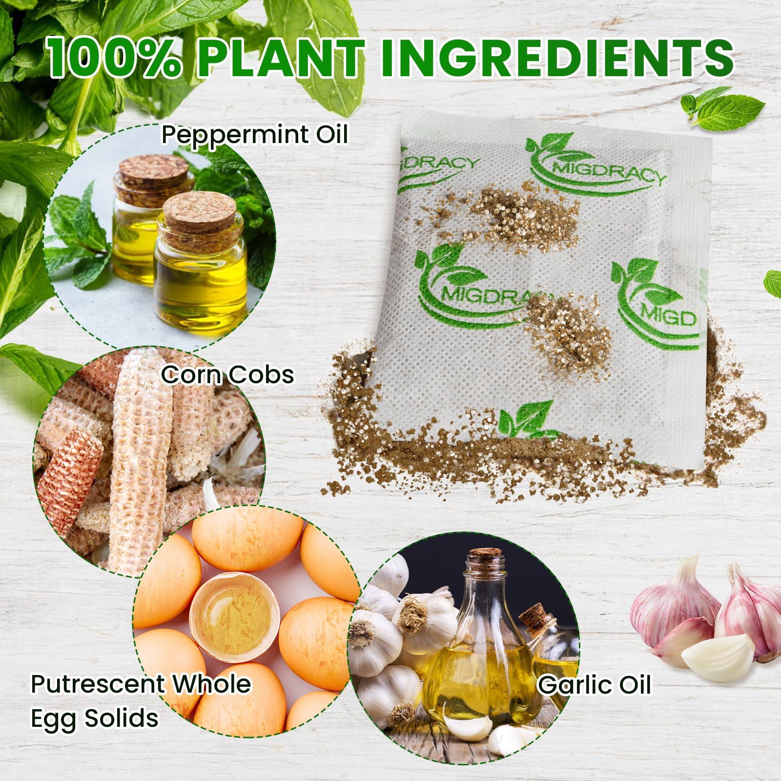 Migdracy Pest Control Pouches, Insect and Mice Repellent Pouches, 10Pcs Peppermint Oil to Rat, Ant, Roach, Spider, Mosquito & Moth, Indoor Use - Image 2