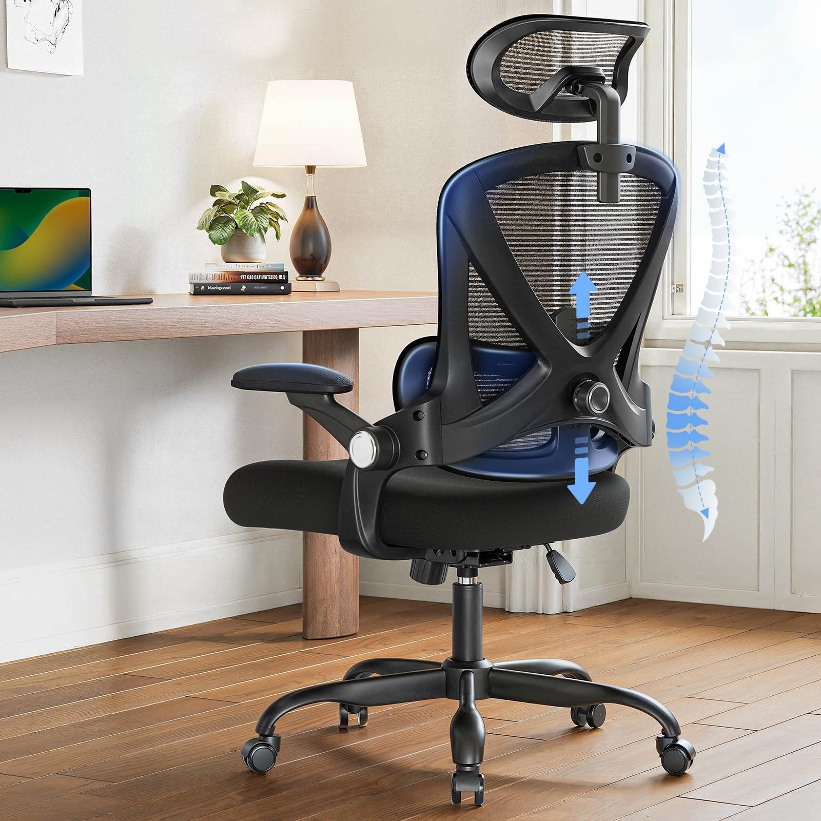 HUANUO Ergonomic Office Chair, High Back Desk Chair with Up&Down Lumbar Support, 3D Flip-Up Armrests, 2D Headrest, Swivel Computer Task Chair with Wheels and Tilt Function for Home & Office, HNOC13