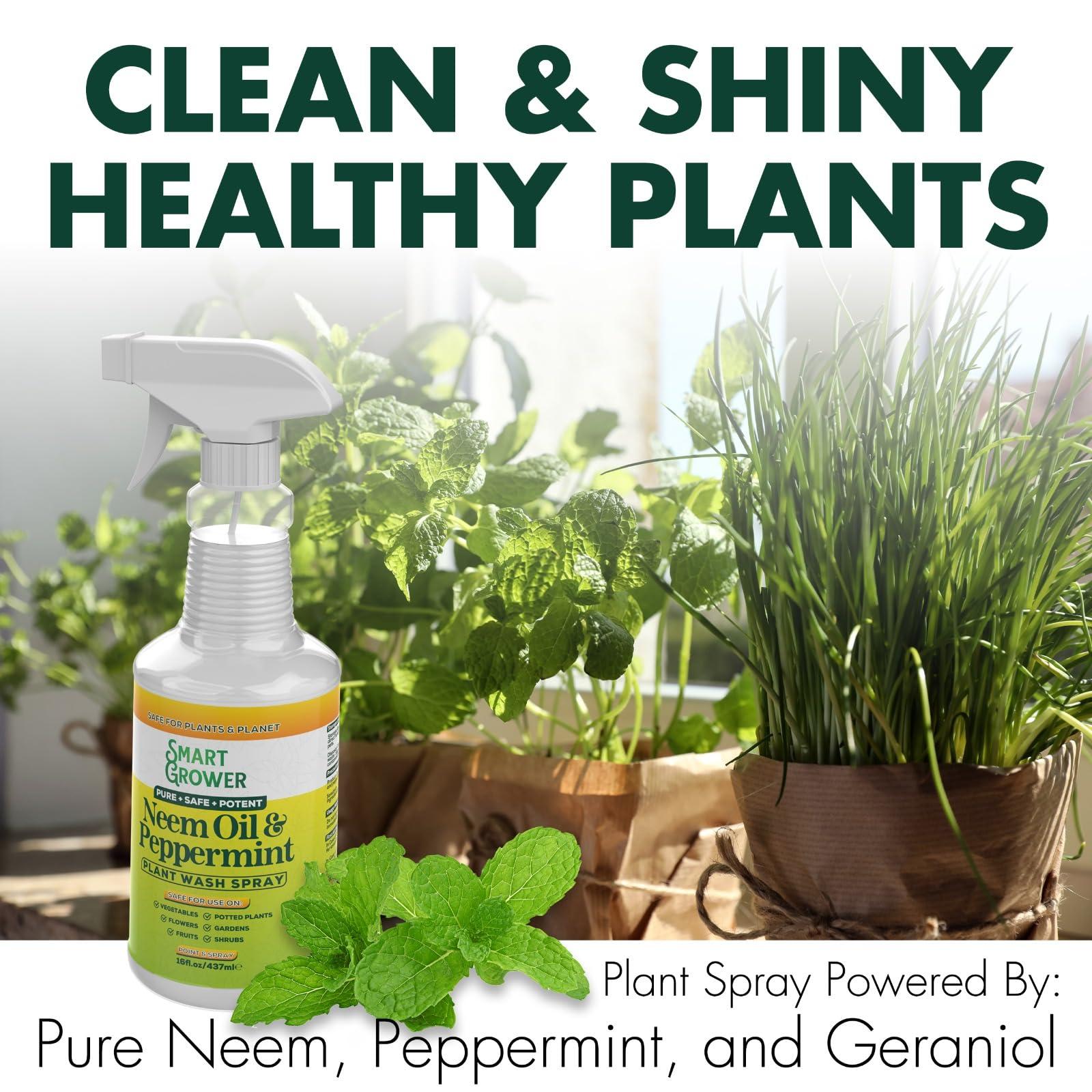 Neem Oil Spray for Plants with Peppermint Oil, Natural Plant Wash Made for Indoor and Outdoor Plants Smart Grower 16oz Easy Ready to Use Spray - Image 9
