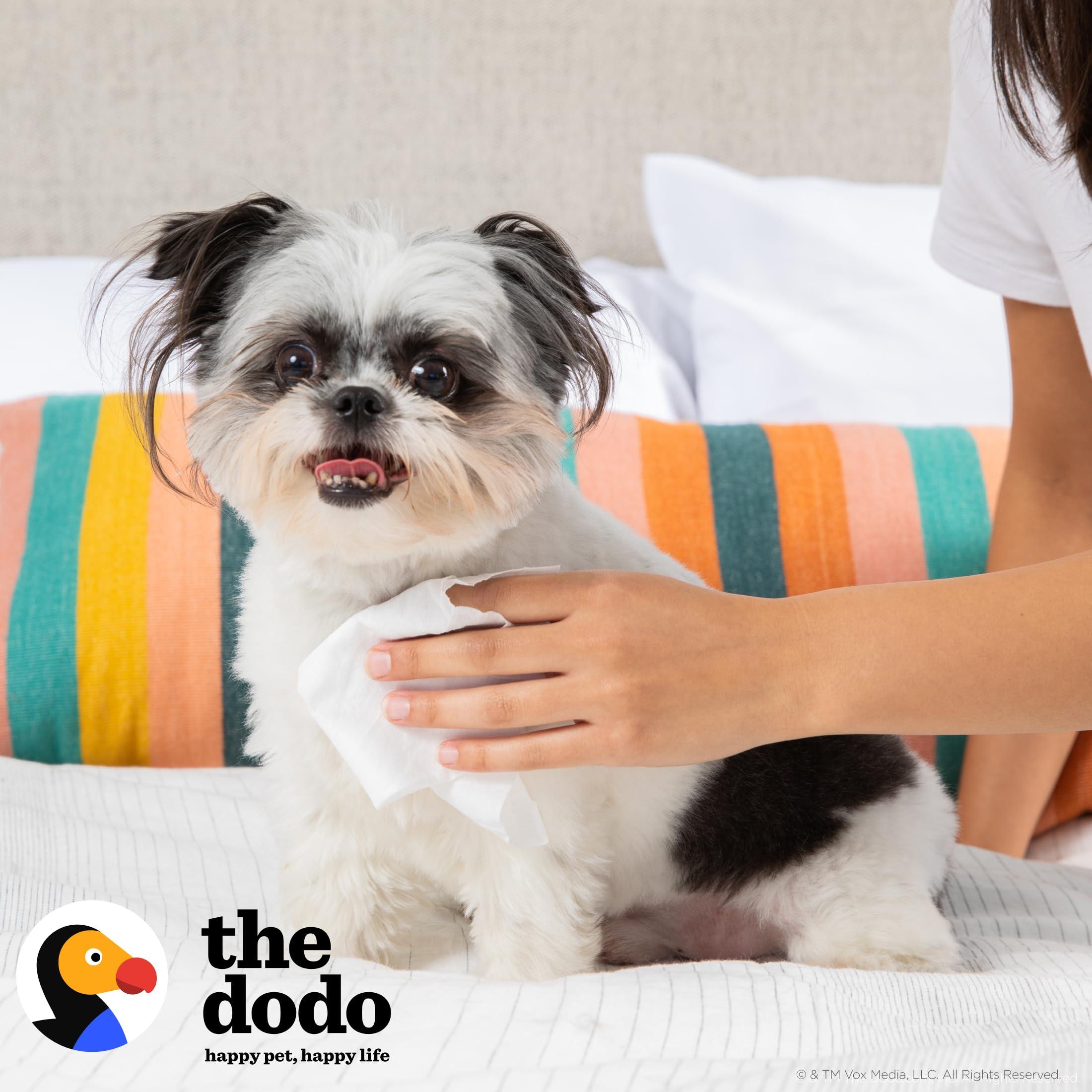 The Dodo Multipurpose Wipes for Dogs, Sweet Vanilla Almond with Hemp Seed and Castor Oil; Easy Wipes for Dogs, Waterless Grooming Supplies - Image 2