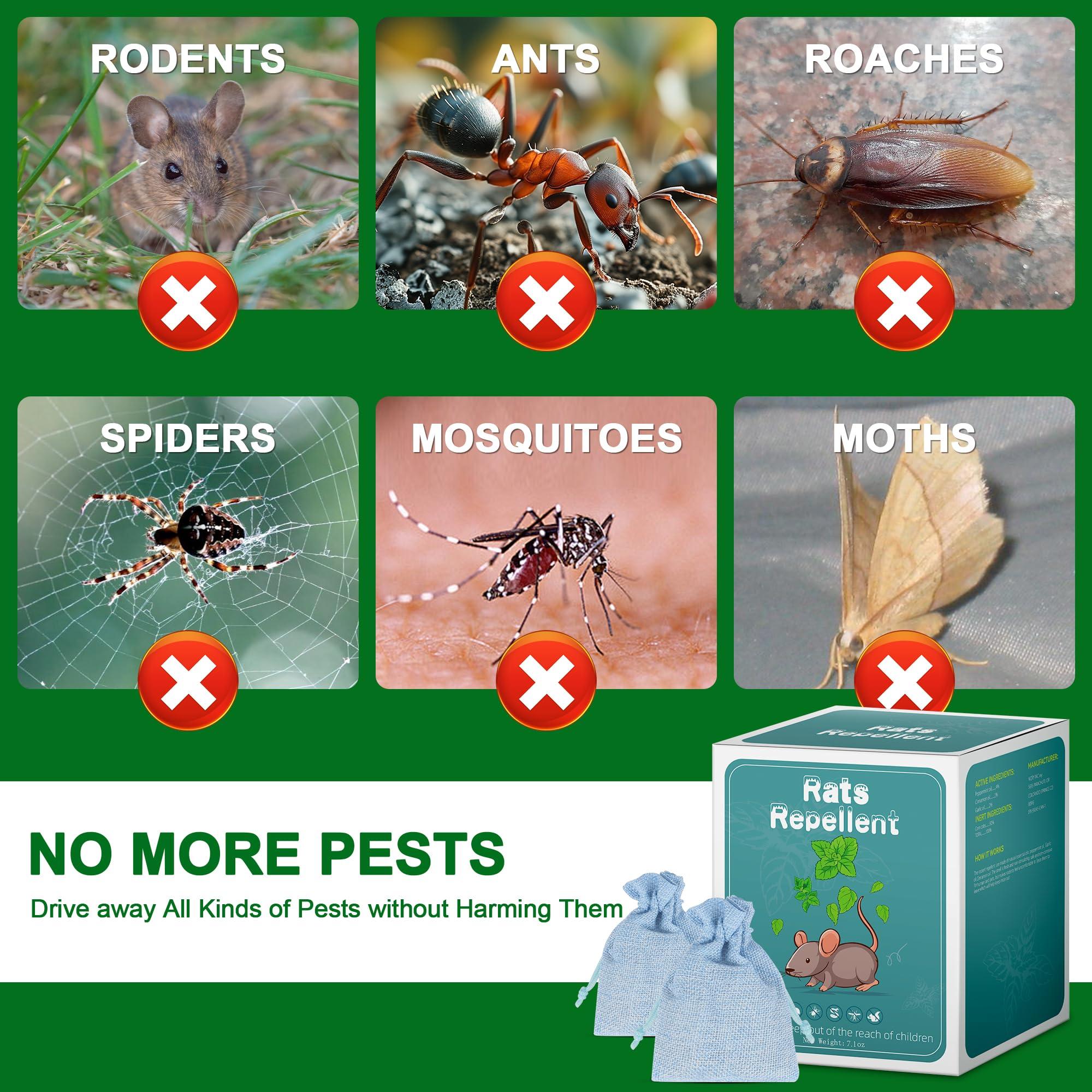 10 Pack Peppermint Oils Mouse Repellent Pouches - Effective Rat Repellent, Peppermint Oil to Keep Rodents Out of Car Engines, Home, Garage, Warehouse, Natural Ingredients - Image 6