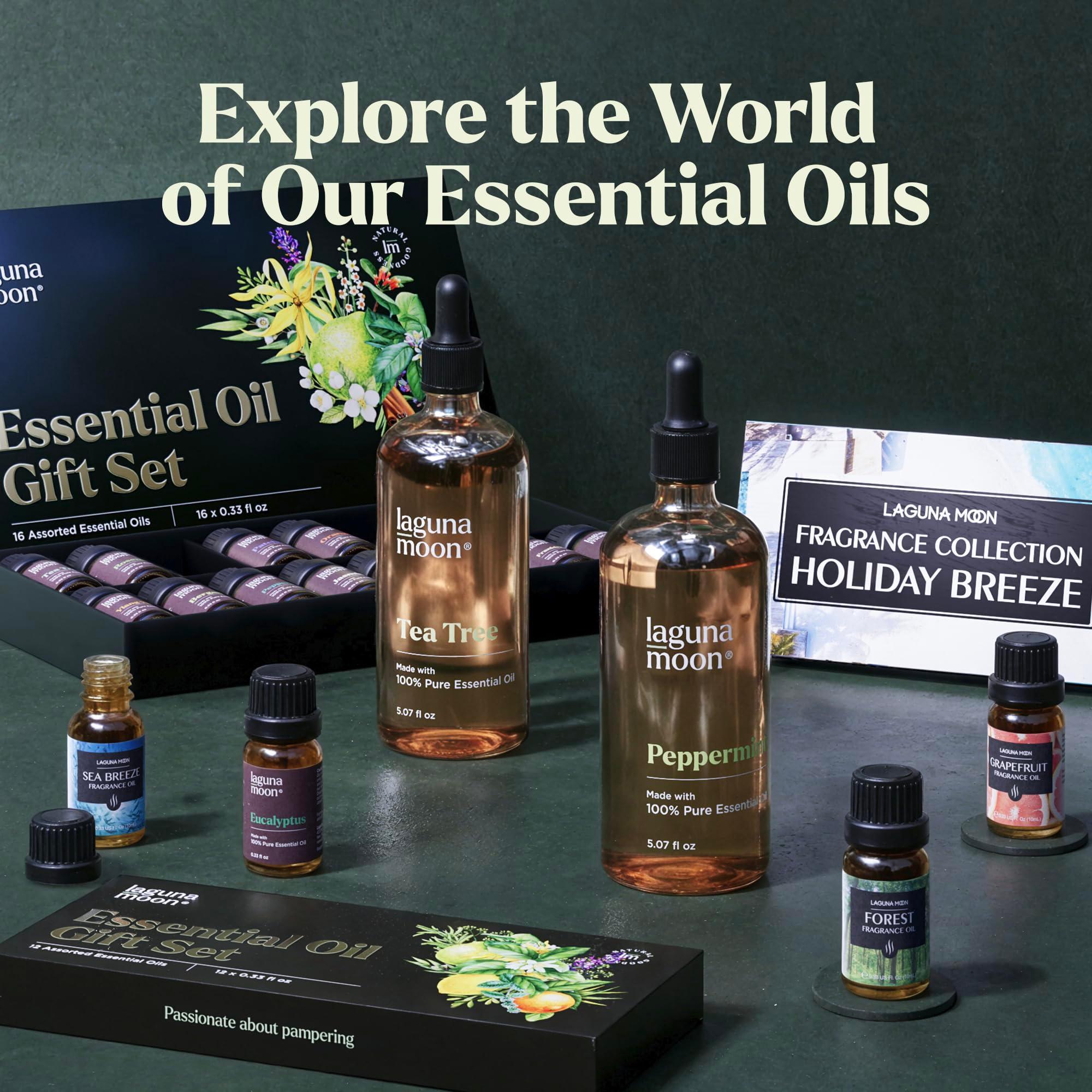 Essential Oils Set - Top 6 Blends for Diffusers, Home Care, Candle Making Scents, Fragrance, Aromatherapy, Humidifiers, Gifts - Peppermint, Tea Tree, Lavender, Eucalyptus, Lemongrass, Orange (10mL) - Image 8