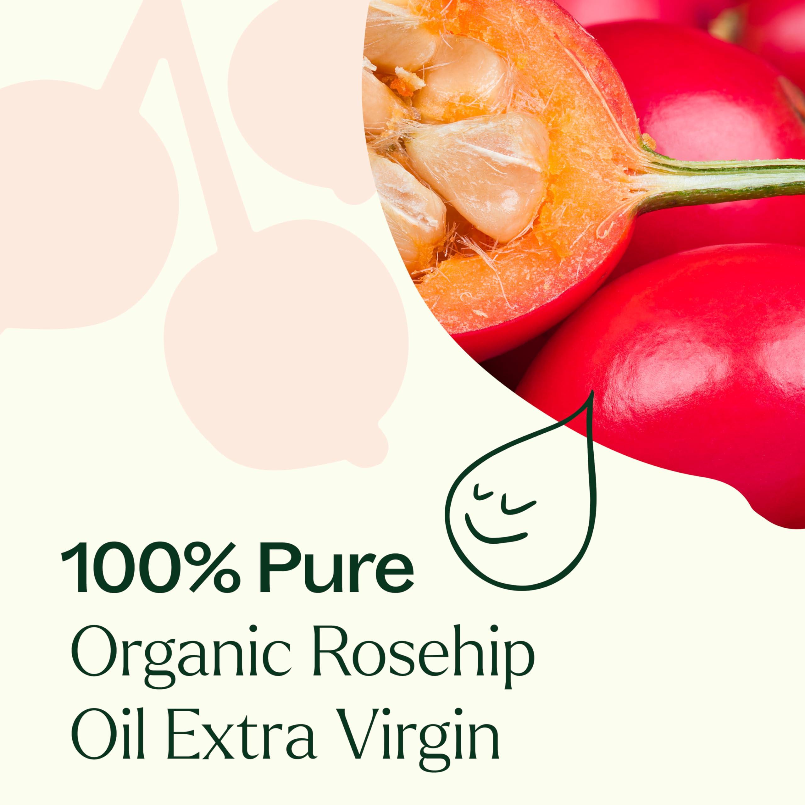 Plant Therapy Organic Rosehip Carrier Oil 4 oz Cold Pressed, Extra Virgin, Vitamins A and E & Essential Fatty Acids - Image 5
