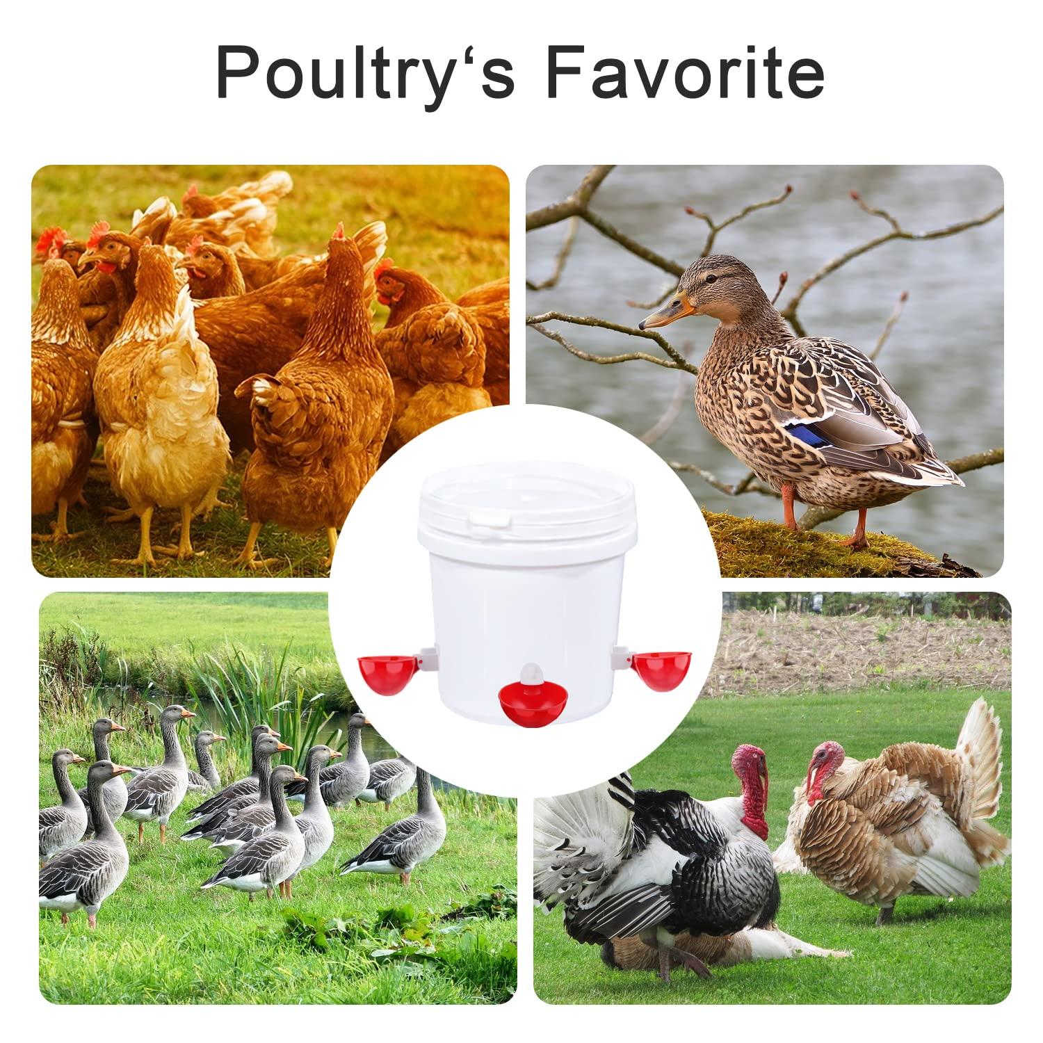 Darcvds Professional Chicken Waterer Cups, 8 Packs Large Chicken Water Feeder, Tee Fittings Poultry Waterer Suitable for Duck, Chicks, Goose, Turkey, Bunny and Bird with Mounting Hole Opener - Image 6