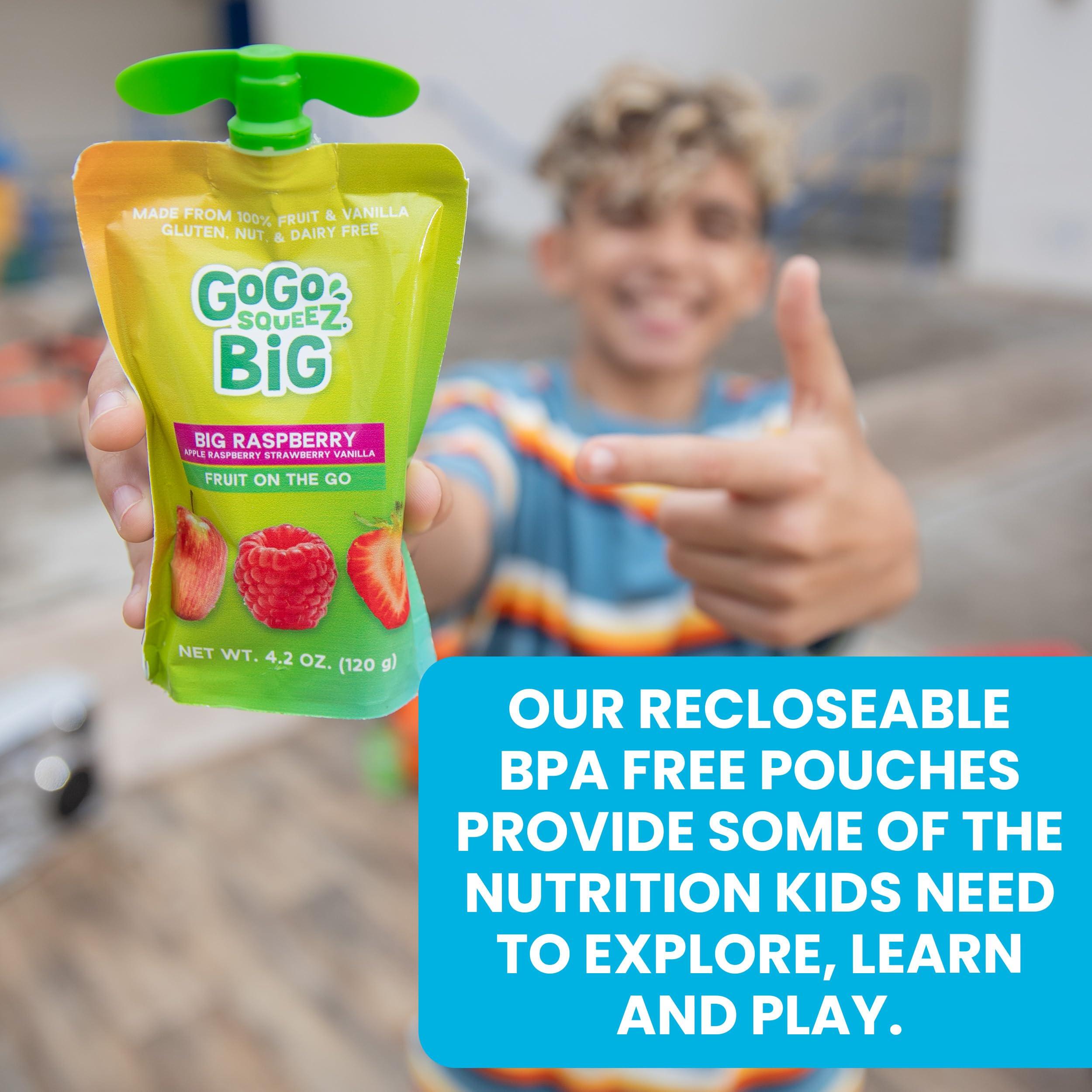 GoGo squeeZ BIG Applesauce & Fruit Puree with Vanilla and Cinnamon Variety Pack, Pear & Raspberry, 4.2 oz. (Pack of 20), Unsweetened Fruit Snacks for Kids, Gluten Free, Nut Free, Dairy Free Pouches - Image 9