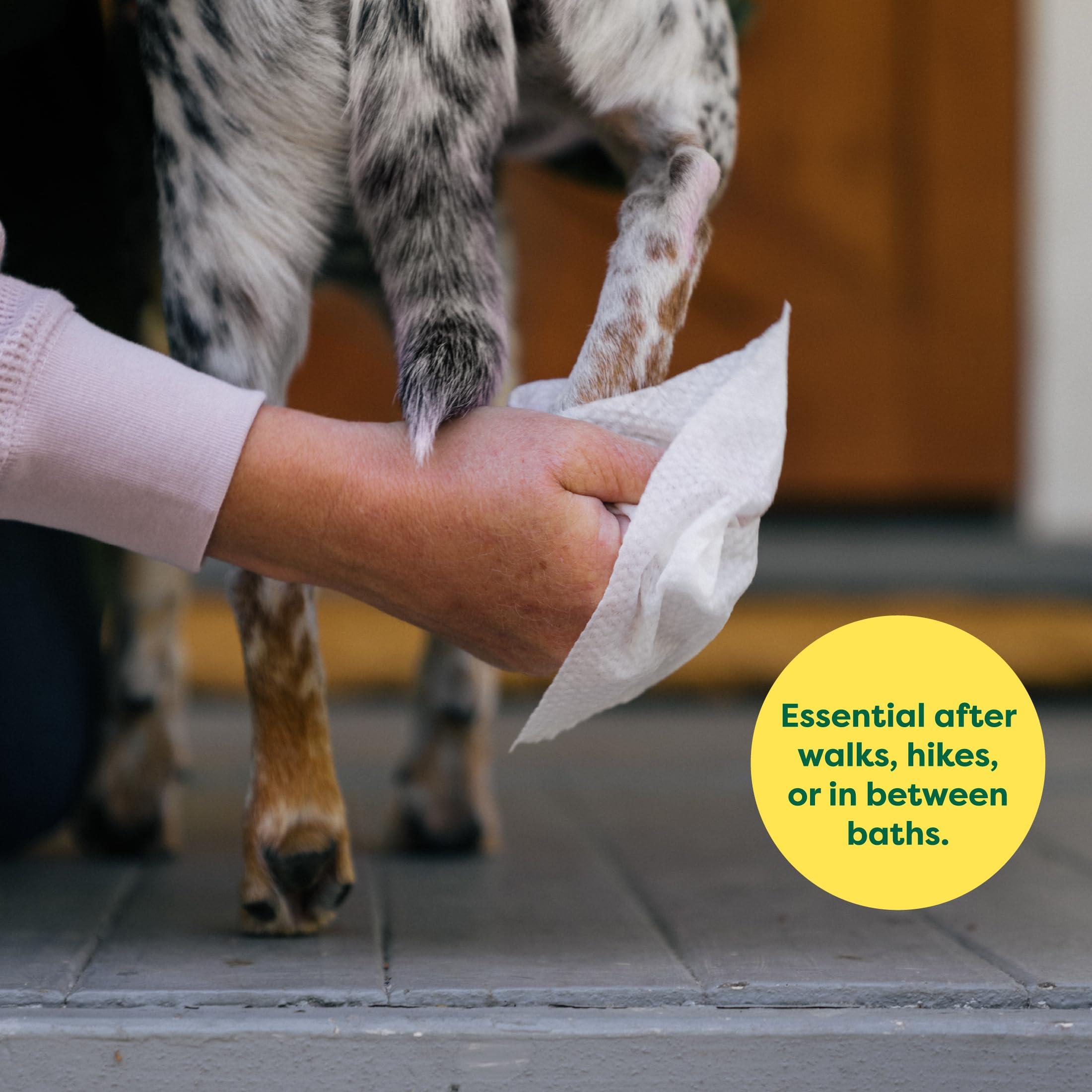 Earth Rated Dog Wipes, Hypoallergenic, Cleaning and Hydrating, for Grooming Paws, Body and Butt, Lavender Scented, 400 Count - Image 3
