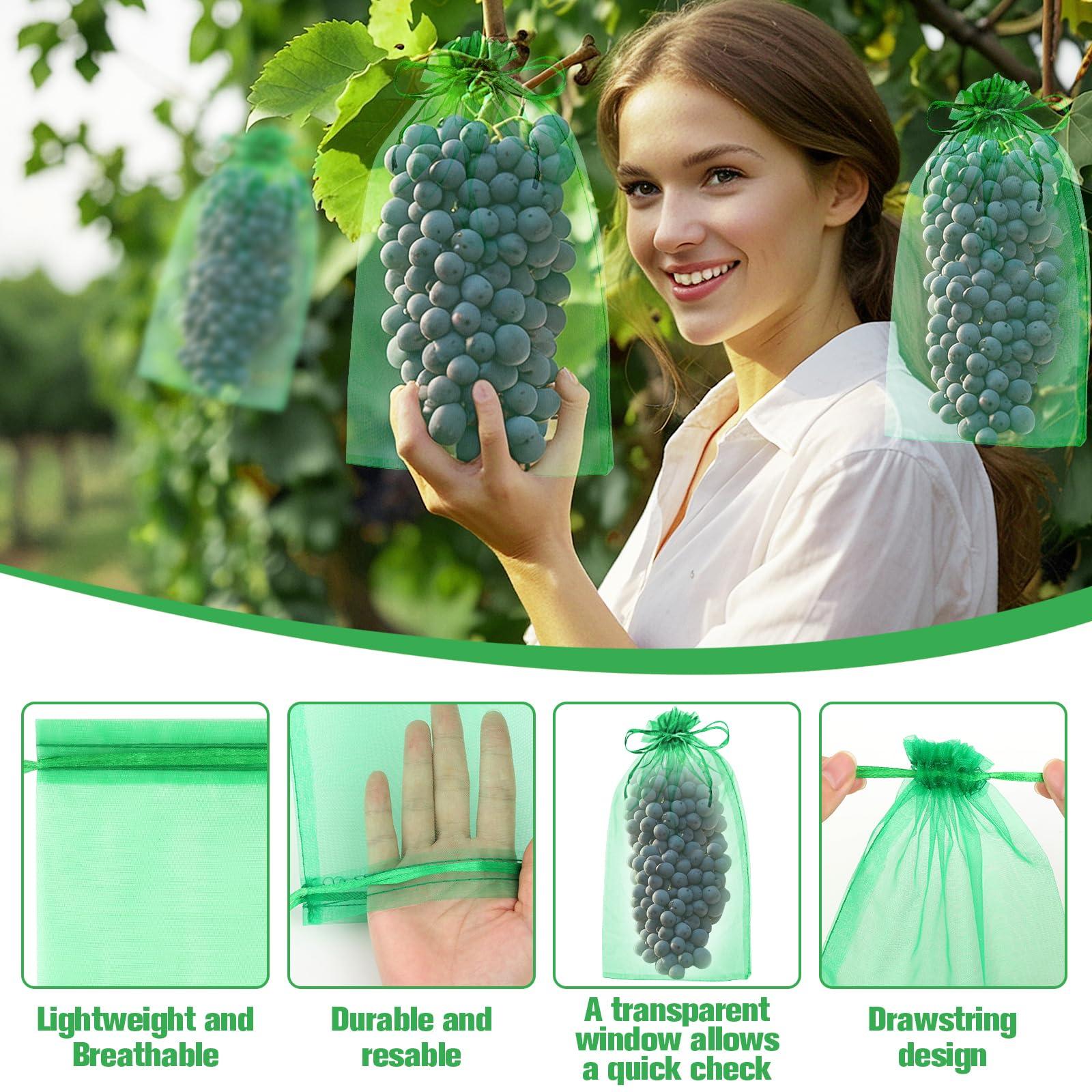 180 Pcs Fruit Protection Bags for Fruit Trees, Green Fruit Netting Cover Bags 3 Size Garden Netting Bags with Drawstring Mesh Barrier Bags for Plant Flower Vegetable Fruit Organza Bags Netting - Image 3