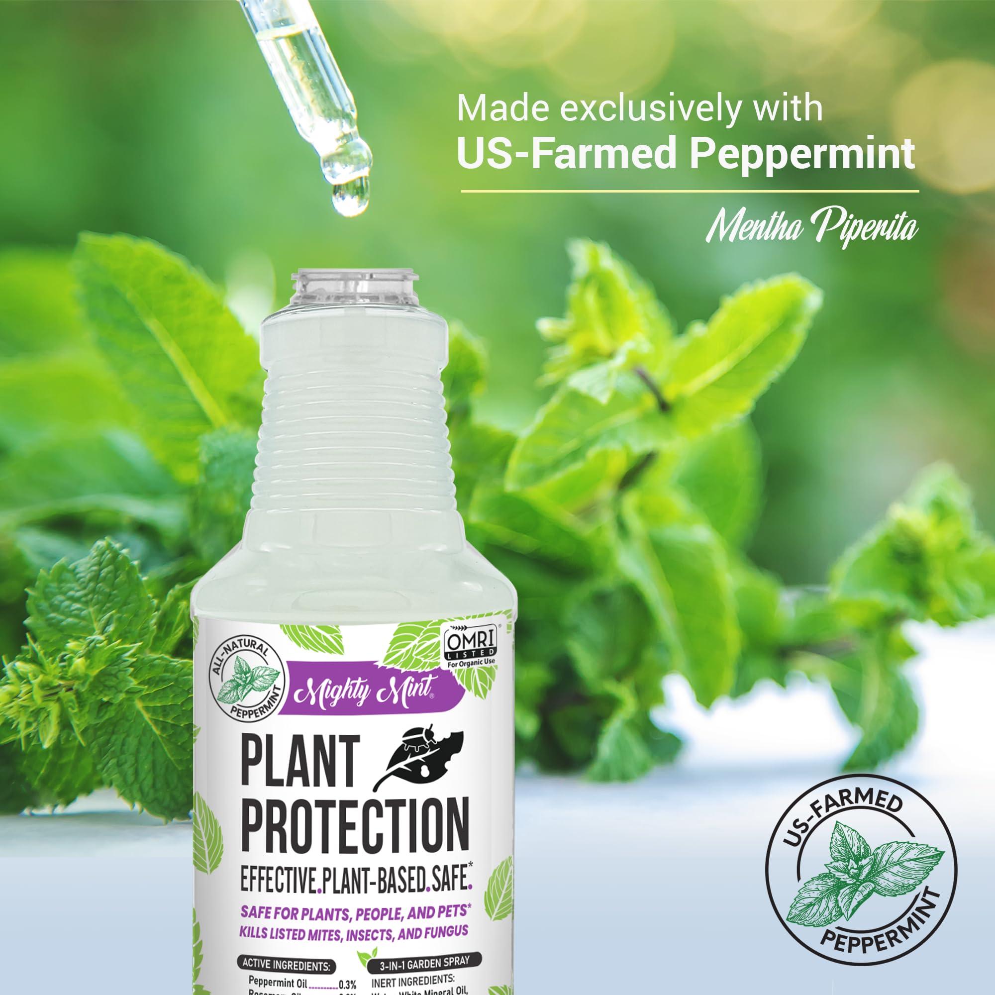 Mighty Mint Peppermint Plant Protection Spray for Insects, Gnats, Fungus, Mites, and Disease, 16 oz - Image 4