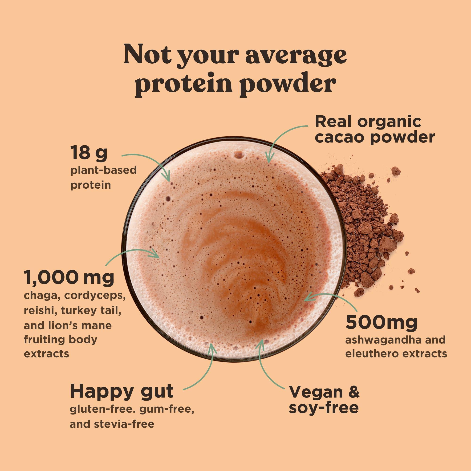 Four Sigmatic Organic Plant-Based Protein Powder Creamy Cacao Protein with Lion’s Mane, Chaga, Cordyceps and More | Clean Vegan Protein Elevated for Brain Function and Immune Support | 21.16 oz - Image 6