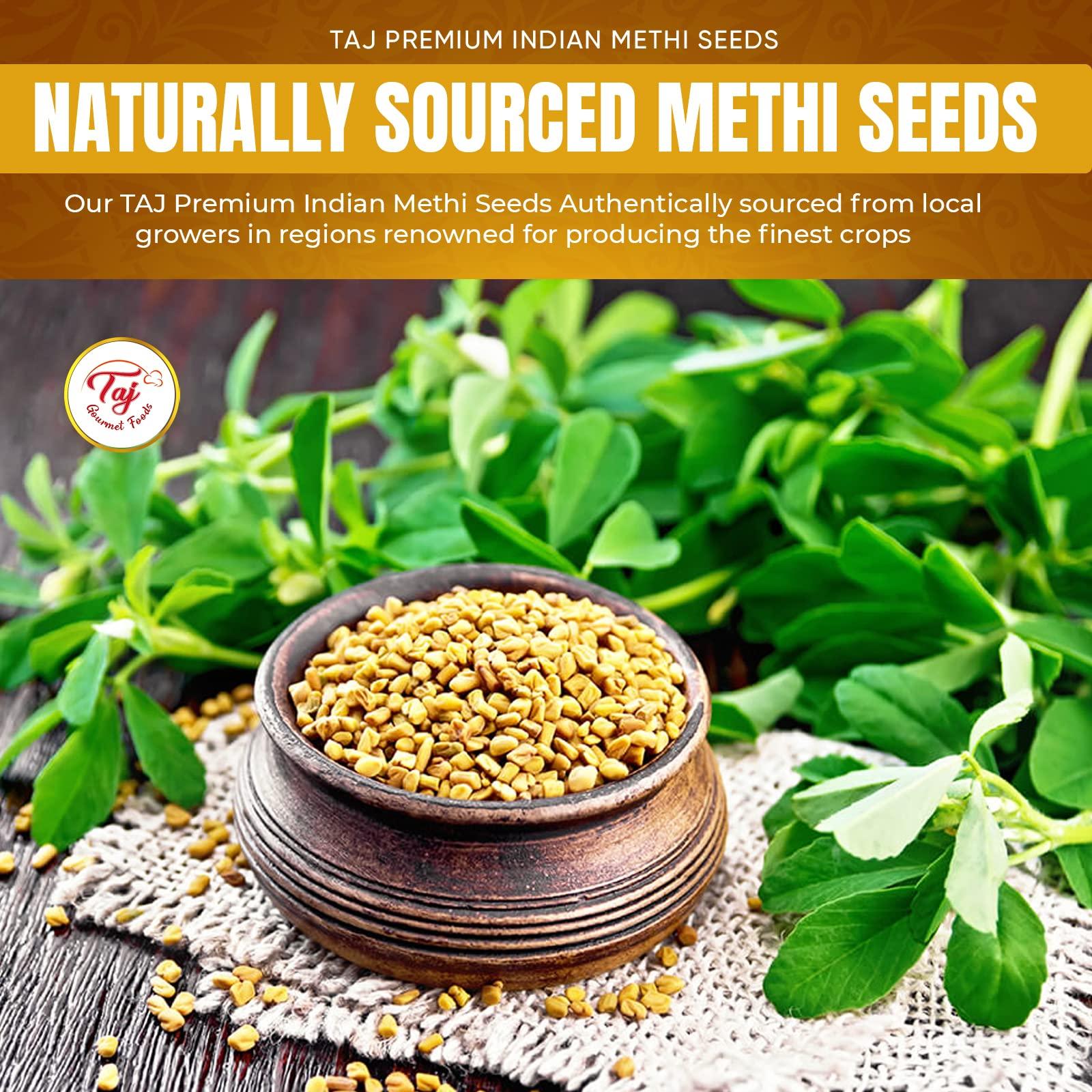 TAJ Premium Indian Methi Seeds, Fenugreek Seeds, Trigonella foenum graecum, (14 Ounce) - Image 3