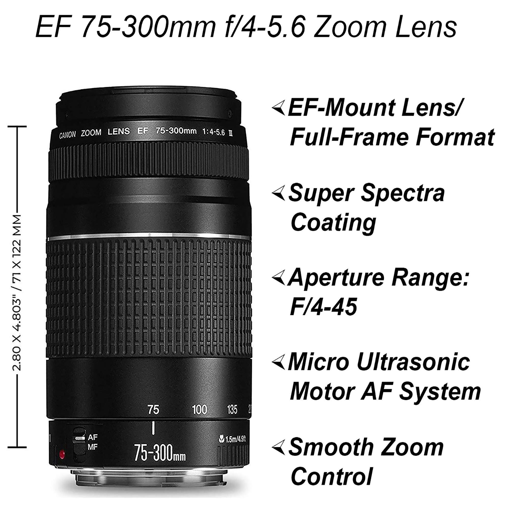 Canon EOS 2000D / Rebel T7 DSLR Camera with EF-S 18-55mm + EF 75-300mm Daul Lens + SanDisk 64GB Memory Card + Tripod + Case + Wideangle Lenses + ZeeTech Accessory Bundle (21pc Bundle) (Renewed) - Image 4