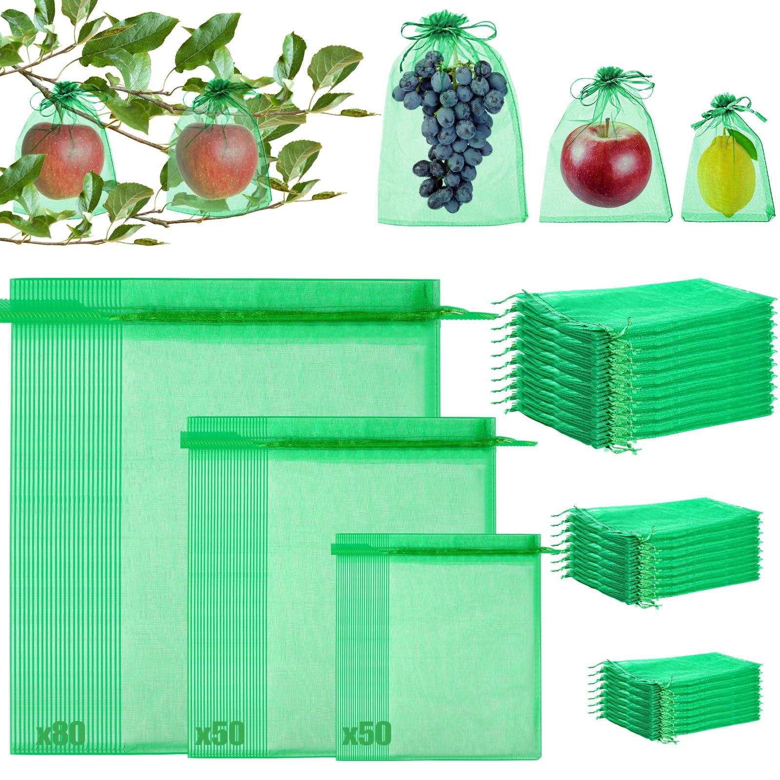 180 Pcs Fruit Protection Bags for Fruit Trees, Green Fruit Netting Cover Bags 3 Size Garden Netting Bags with Drawstring Mesh Barrier Bags for Plant Flower Vegetable Fruit Organza Bags Netting