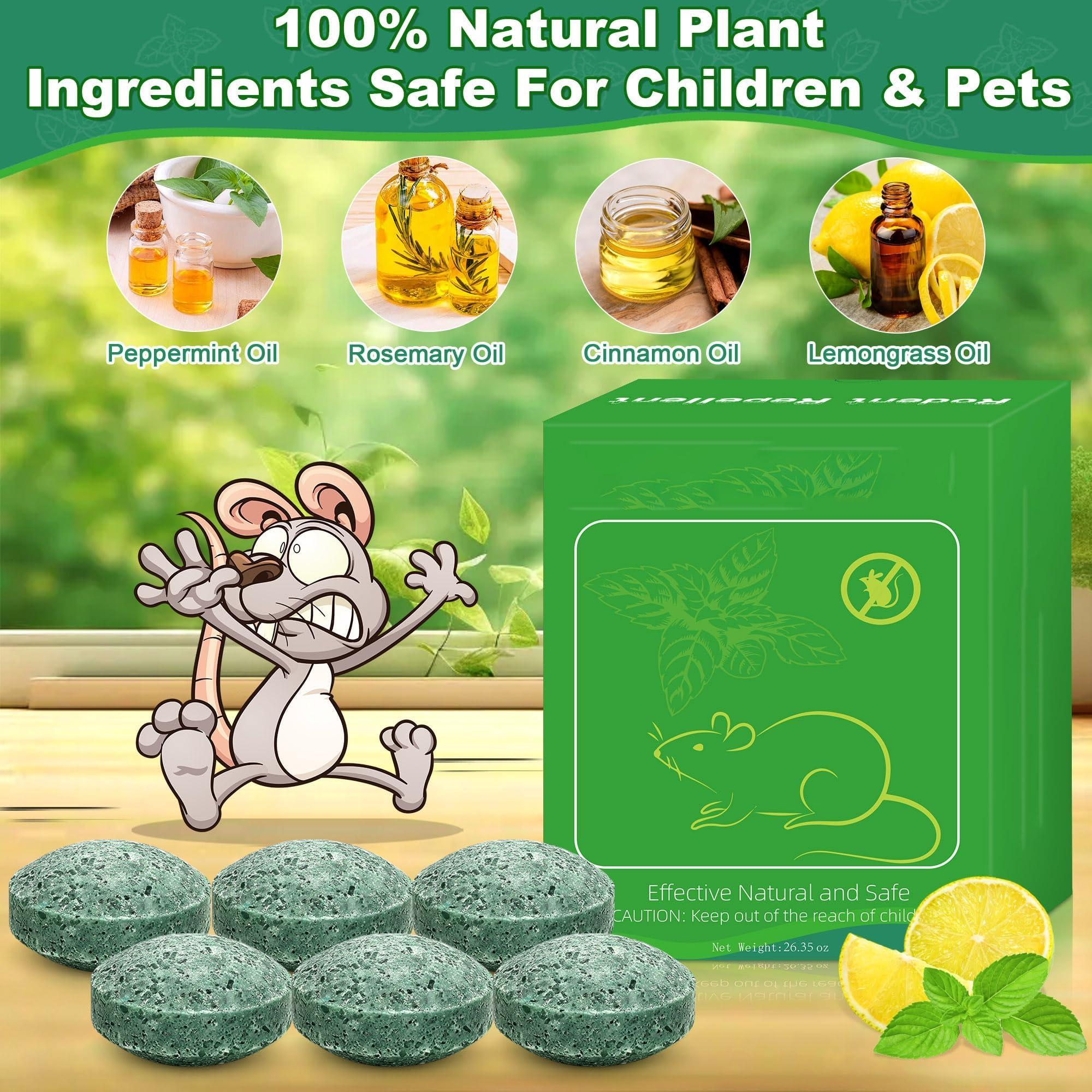 24Pcs Rodent Mice Repellent, Peppermint Oil Mouse Repellent Balls for Rats Mouse Deterrent, Keep Rat Mice Mouse Rodent Out of Indoor House Outdoor Car Engines RV Garage, Safe for Humans & Pets - Image 2