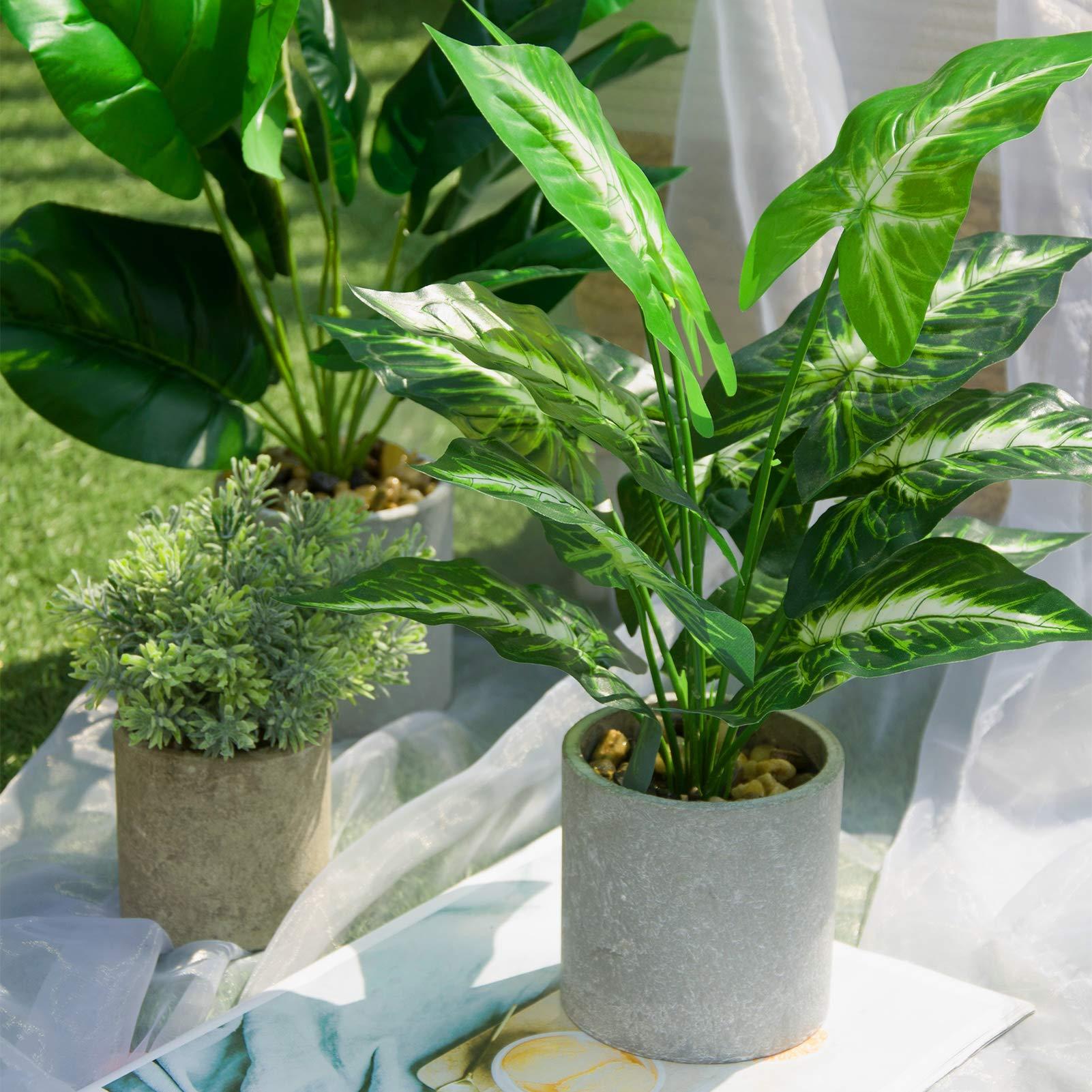 JC nateva 16" Small Fake Plants Artificial Tropical Faux Plants Indoor for Office Desk Shelf Bathroom Home Decor - Image 8