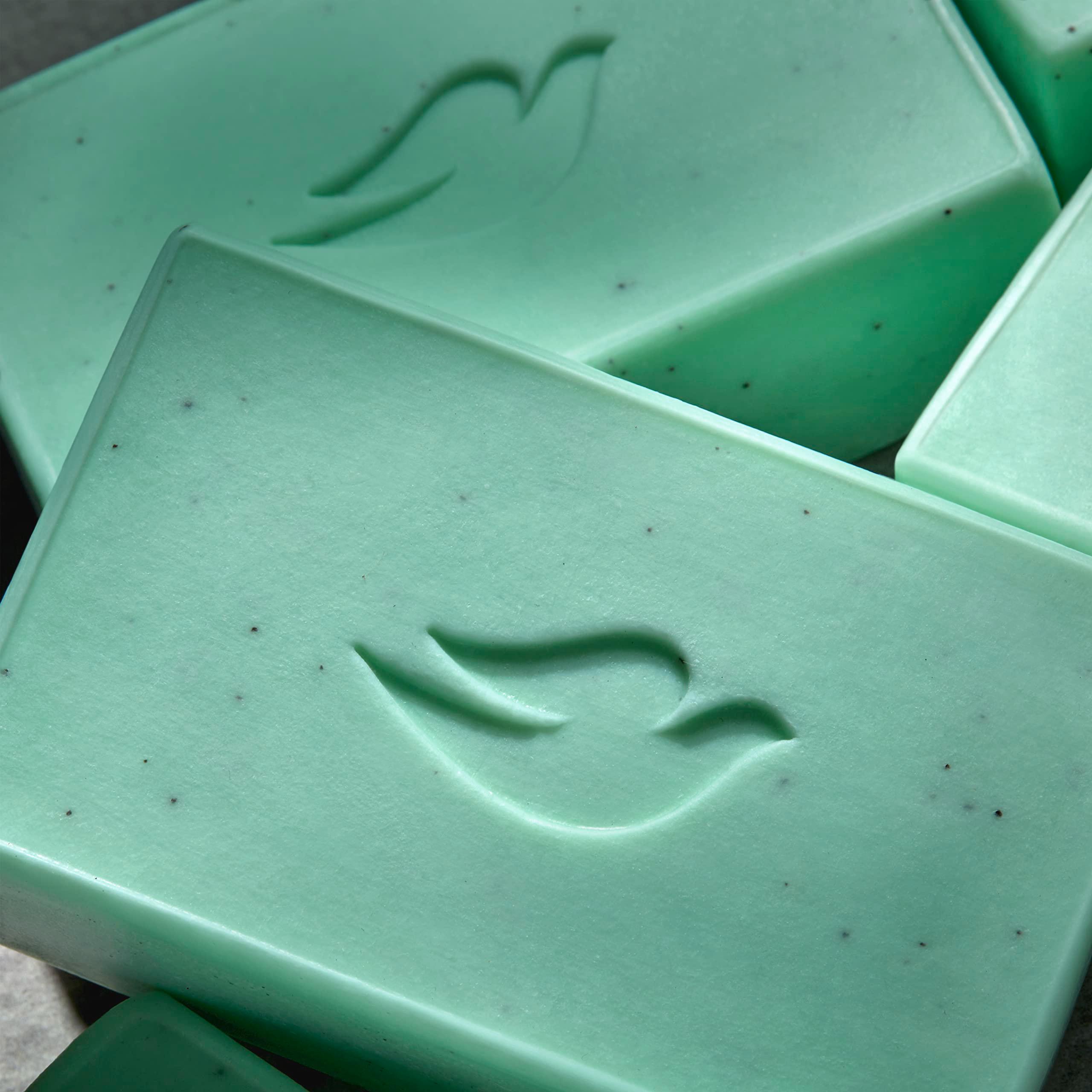 DOVE MEN + CARE Plant-Powered Natural Essential Oil Bar Soap Reinvigorating Lime + Avocado Oil to Clean and Hydrate Mens Skin 4-in-1 Bar Soap for Men's Body, Hair, Face and Shave. 5 oz, 4 Count - Image 10