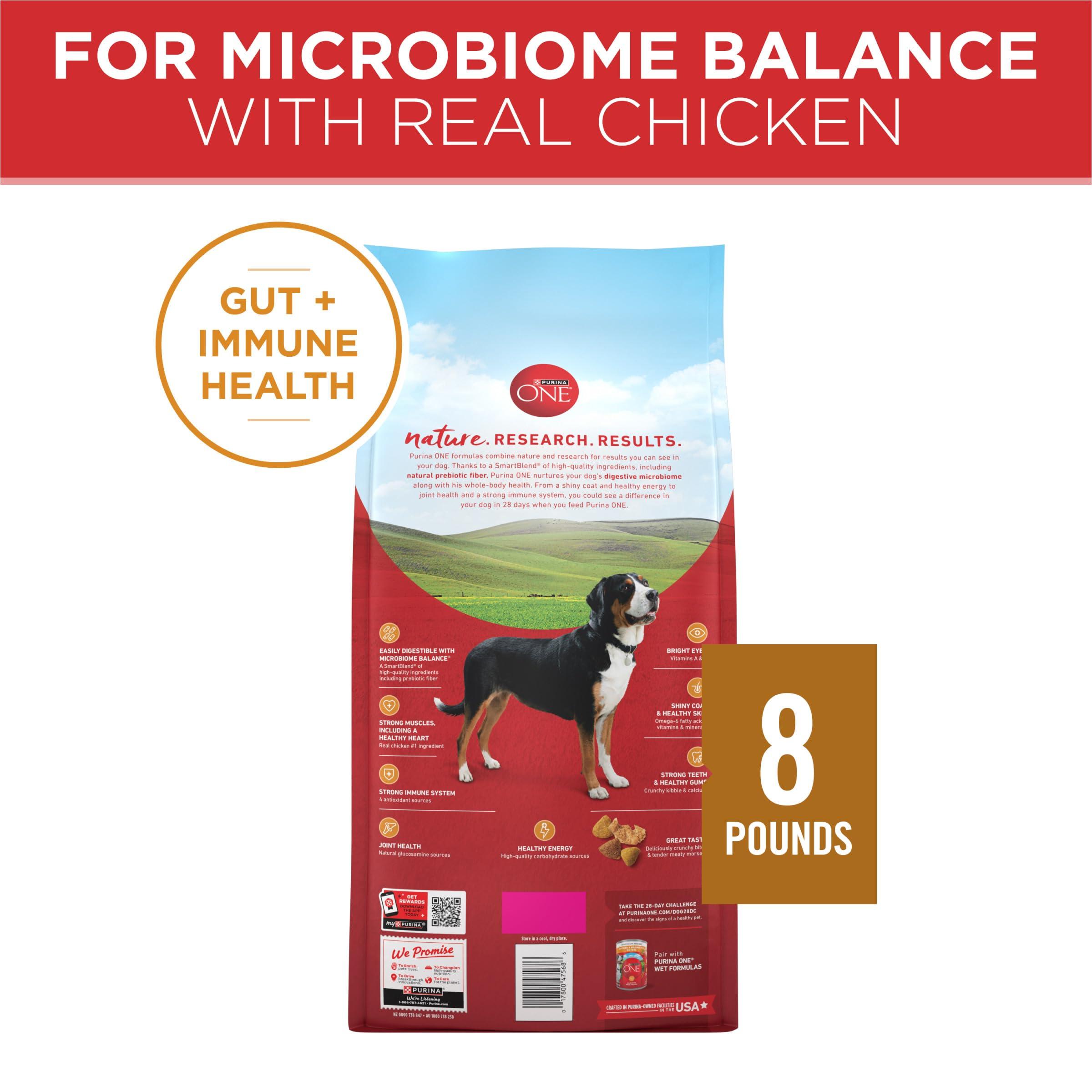 Purina ONE Chicken and Rice Formula Dry Dog Food - 8 lb. Bag - Image 7