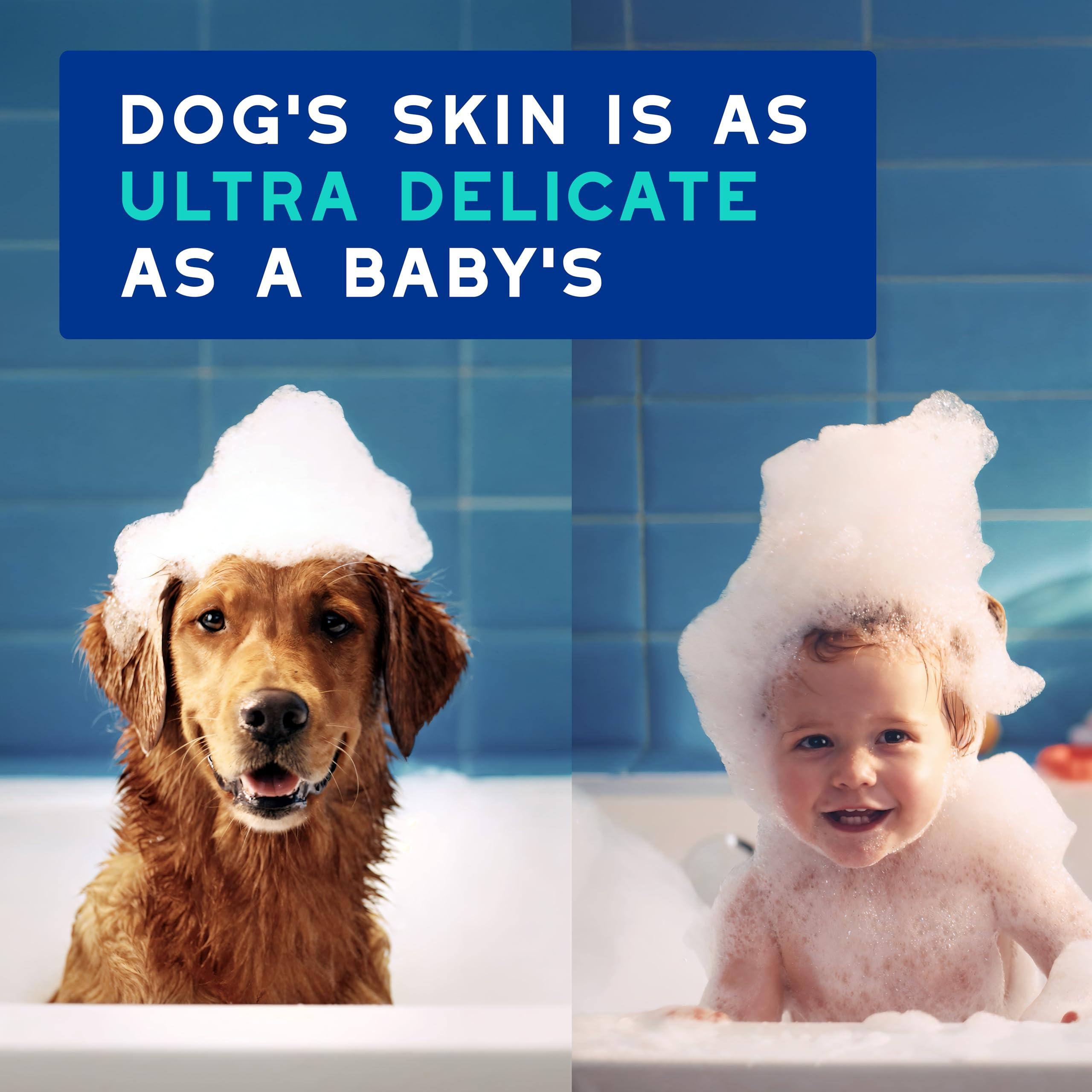 DOUXO® Skin & Coat SPA - Ultra-Safe Odor Control Dog Shampoo for Smelly Dogs, 16 fl oz, Cleans and Hydrates The Skin, Removes Odor, Leaves The Coat Soft and Smelling Great, Skin-Friendly Formula - Image 4