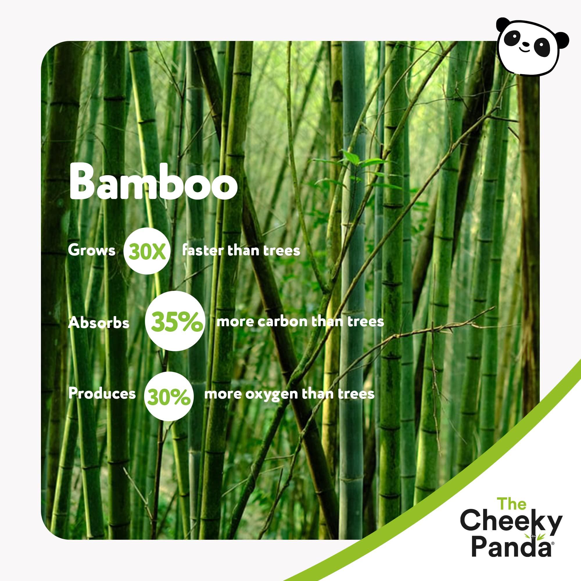 The Cheeky Panda Bamboo Toilet Paper Bulk | 12 Family Sized Rolls with 360 Soft Sheets Each (4320 Sheets) | Super Strong 3 Ply Biodegradable Toilet Paper - Image 5