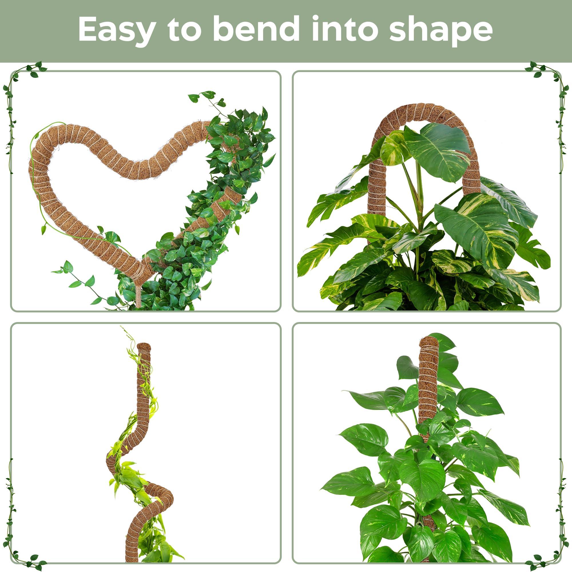 2 Pack 28'' Bendable Moss Pole Monstera Plant Support for Climbing Indoor Plants - Stakes for Potted Climbers - Tall Sticks Indoor Trellis for Houseplants - Accessories for Monstera Pot - Image 3