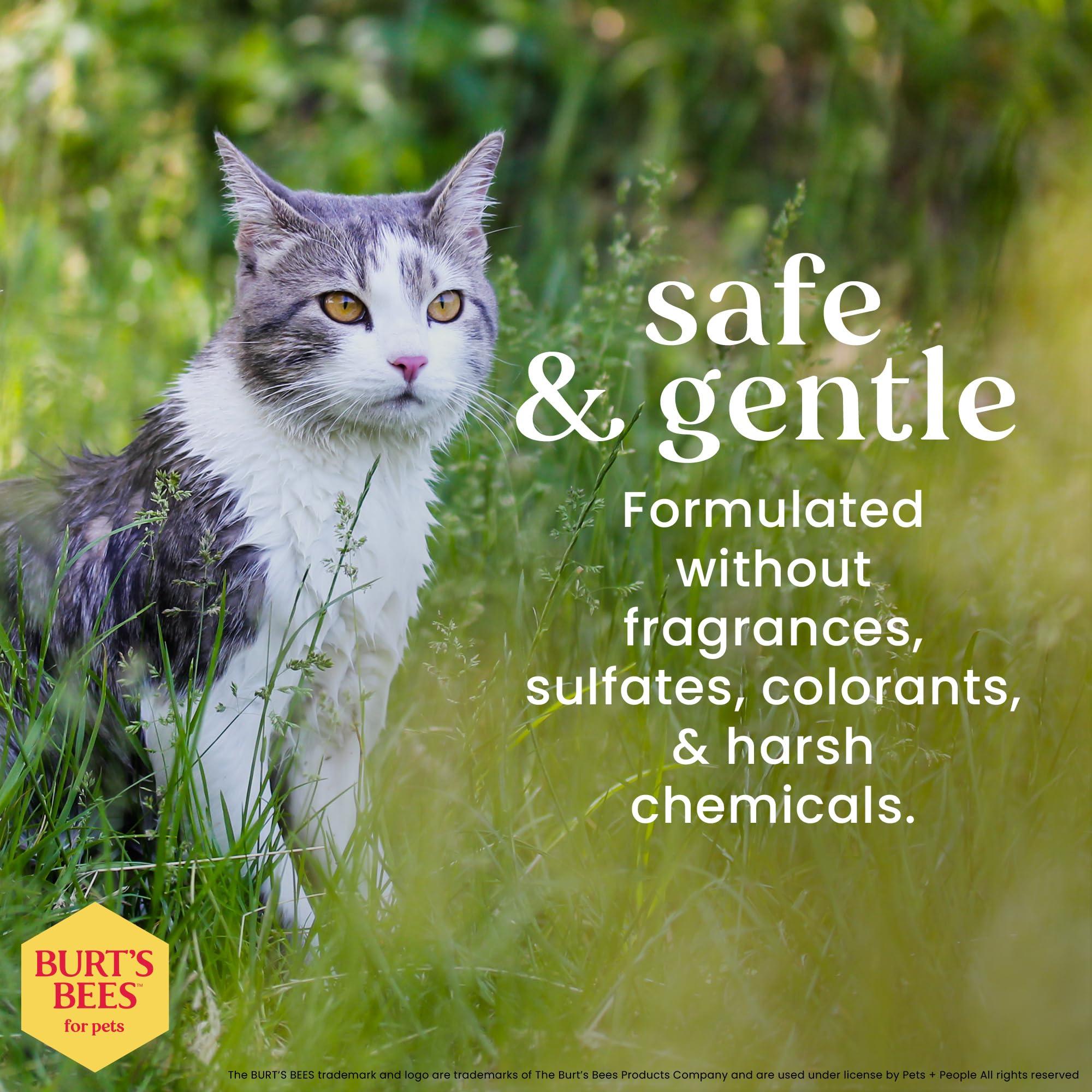 Burt's Bees for Pets Hypoallergenic Shampoo for Cats with Shea Butter and Honey, 99.7% Natural Origin Formulas, Pet Shampoo for Cats, Gentle Cat Shampoo, Cat Shampoo for Itchy Skin, 10 oz - Image 5