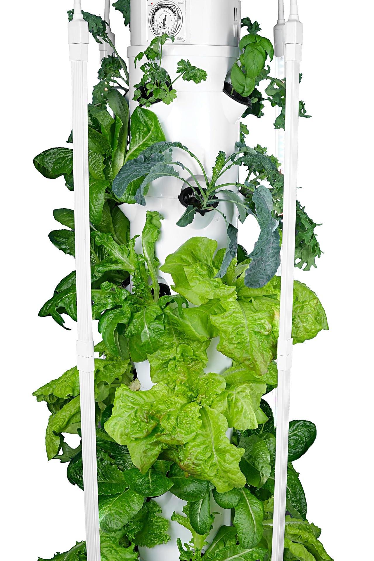ALTO GARDEN GX Hydroponic Tower | Vertical Planter Tower | Hydroponics Growing System Kit | Food Grade with 24 Net Pots (with LED Grow Lights) - Image 3