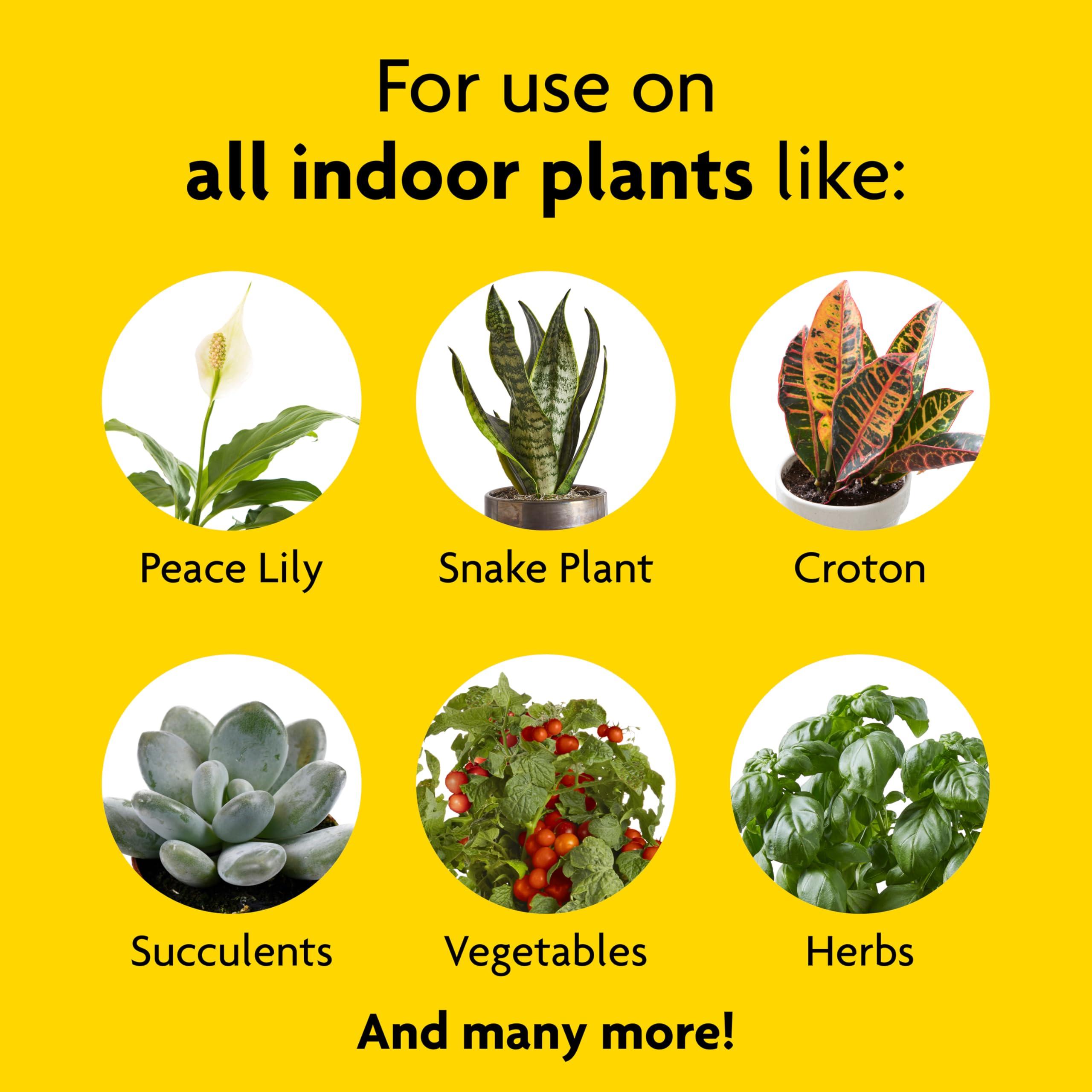Miracle-Gro Indoor Plant Food, Liquid Plant Food for Houseplants, Snake Plants, Peace Lilies, Flowers, Vegetables, Herbs and More, 8 oz., 2-Pack - Image 4