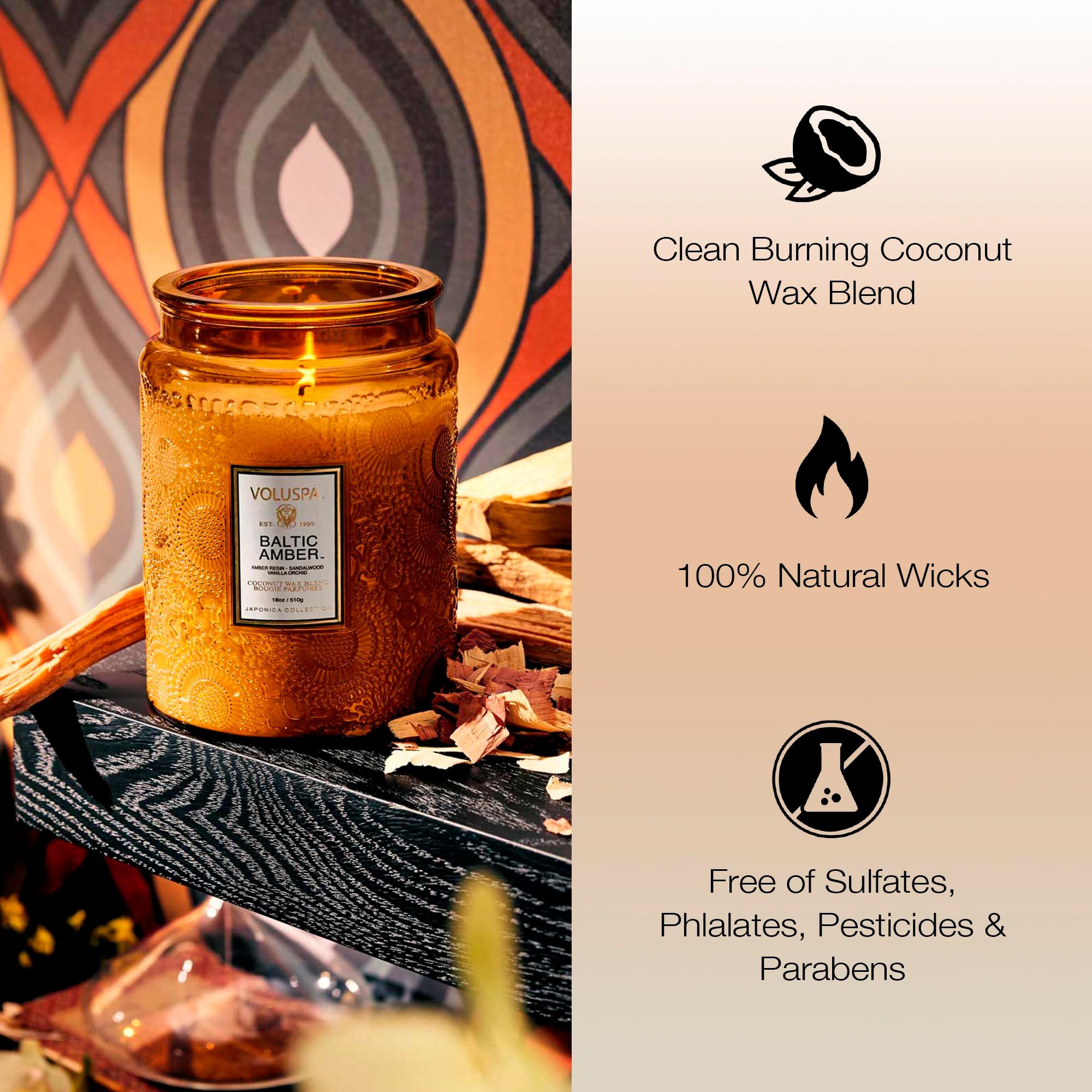 Voluspa Baltic Amber, Large Candle Jar, 18 oz, 100 Hour Burn Time, Coconut Wax for Clean Burning, Handcrafted in the USA - Image 3