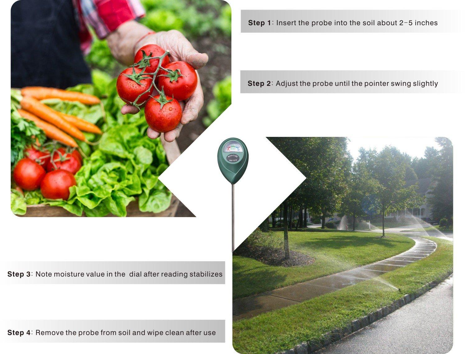 XLUX Soil Moisture Meter, Plant Water Monitor, Hygrometer Sensor for Gardening, Farming, Indoor and Outdoor Plants, No Batteries Required - Image 4