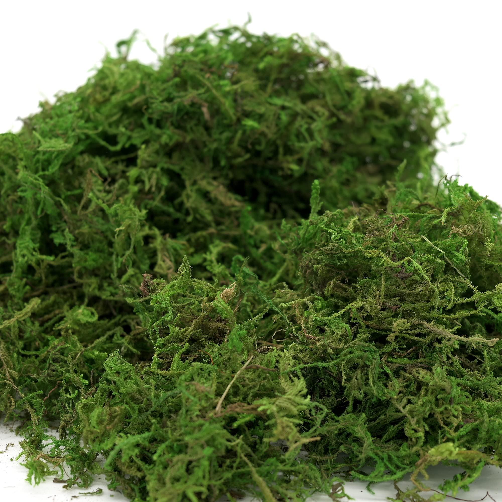 USMOLA Artificial Moss, 16OZ Fake Moss for Crafts, Decorative Centerpieces, Fairy Garden, Wedding Party Decor, Faux Potted Plants, 455gr (Fresh Green) - Image 5