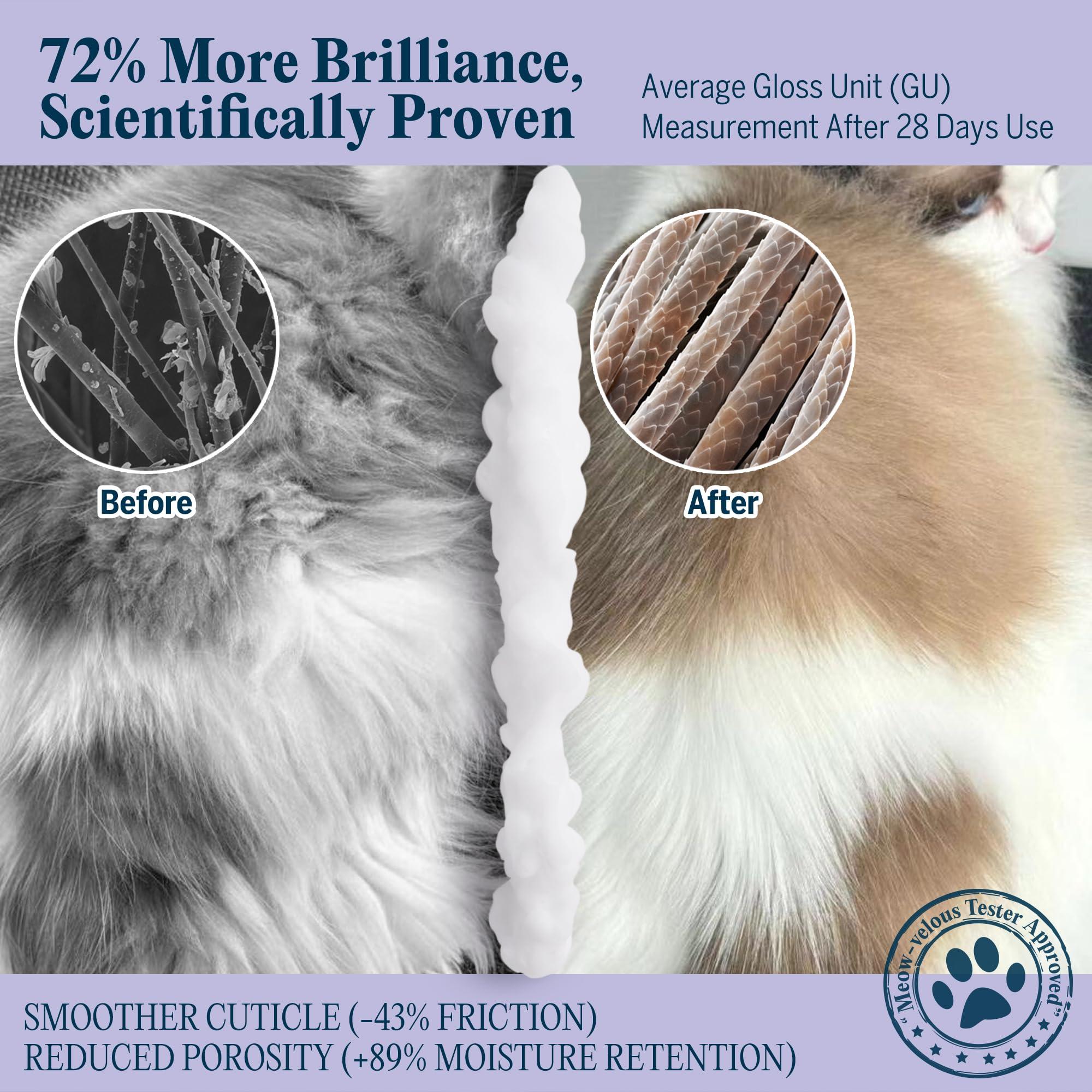 Pretty Kitty Waterless Cat Dry Shampoo – No Rinse, Lick-Safe, Moisturizing for Dry Skin, Detangler, Deshedding, Itchy Skin– Soap-Free Spray Foam for Kittens, Grooming Bathing Hydrat Softening Formula - Image 5