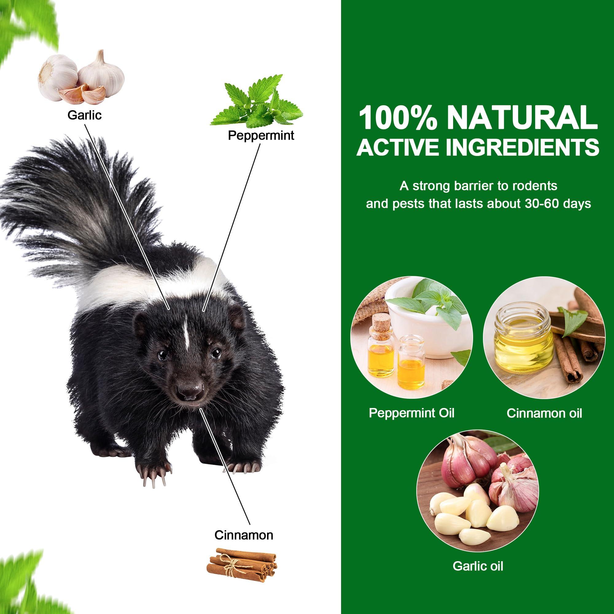 10 Pack Peppermint Oils Skunk Repllent Pouches - Effective Skunks Repellent, Peppermint Oil to Keep Skunks and Raccoons Out of Yard, Garden, Home, Garage, Warehouse, Natural Ingredients - Image 2